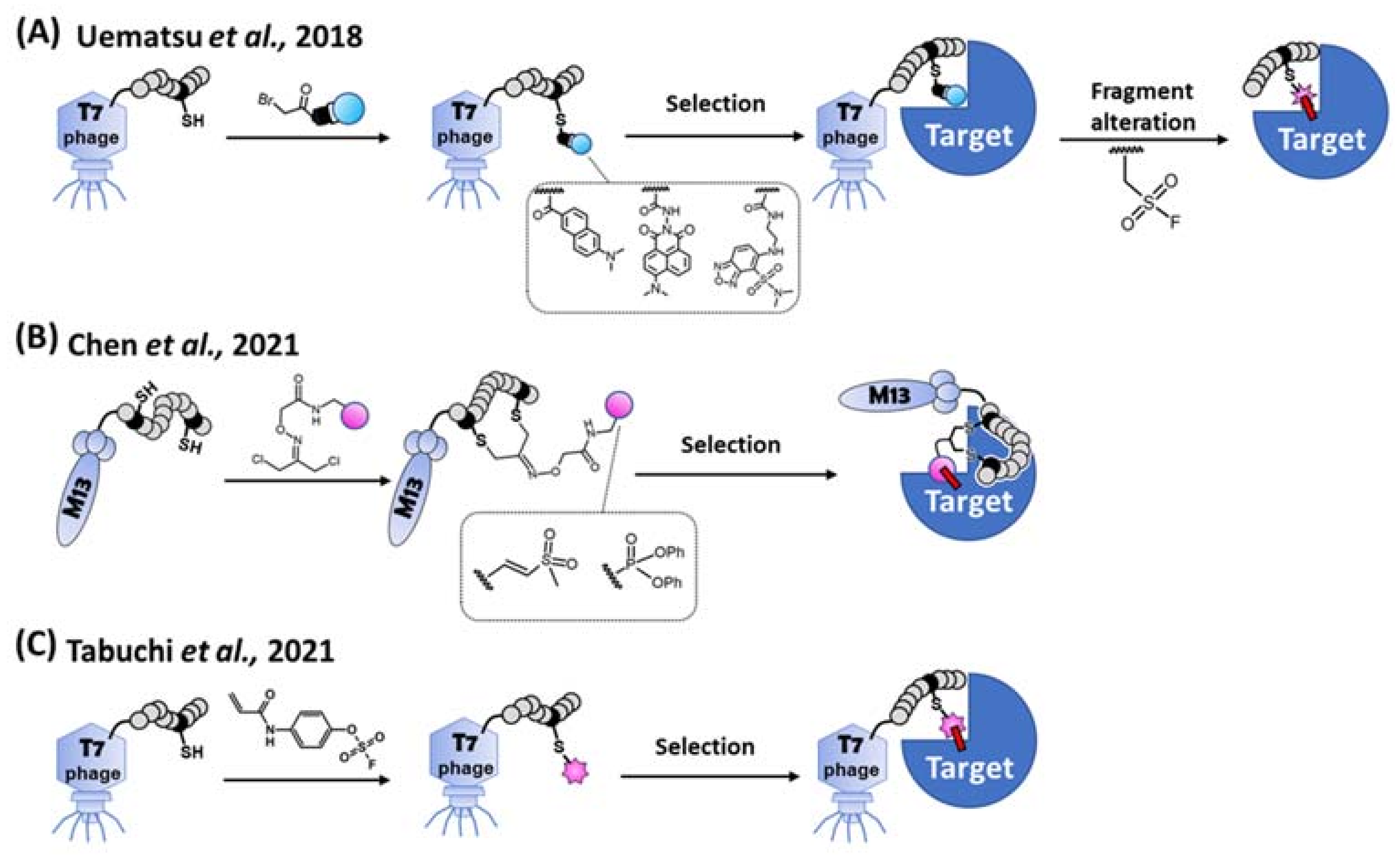 Ijms 24 03525 g006 Ijms 24 03525 g006