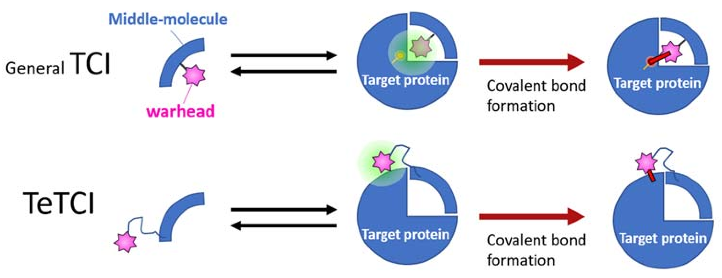 Ijms 24 03525 g007 Ijms 24 03525 g007