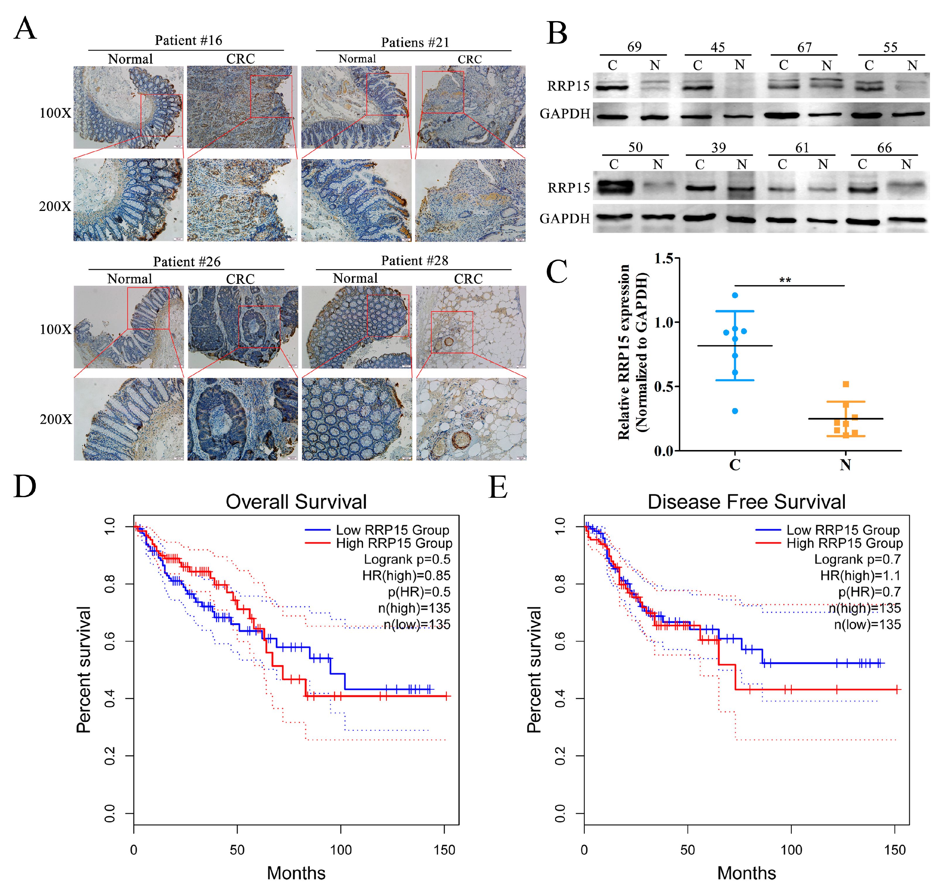 Ijms 24 03528 g001 550