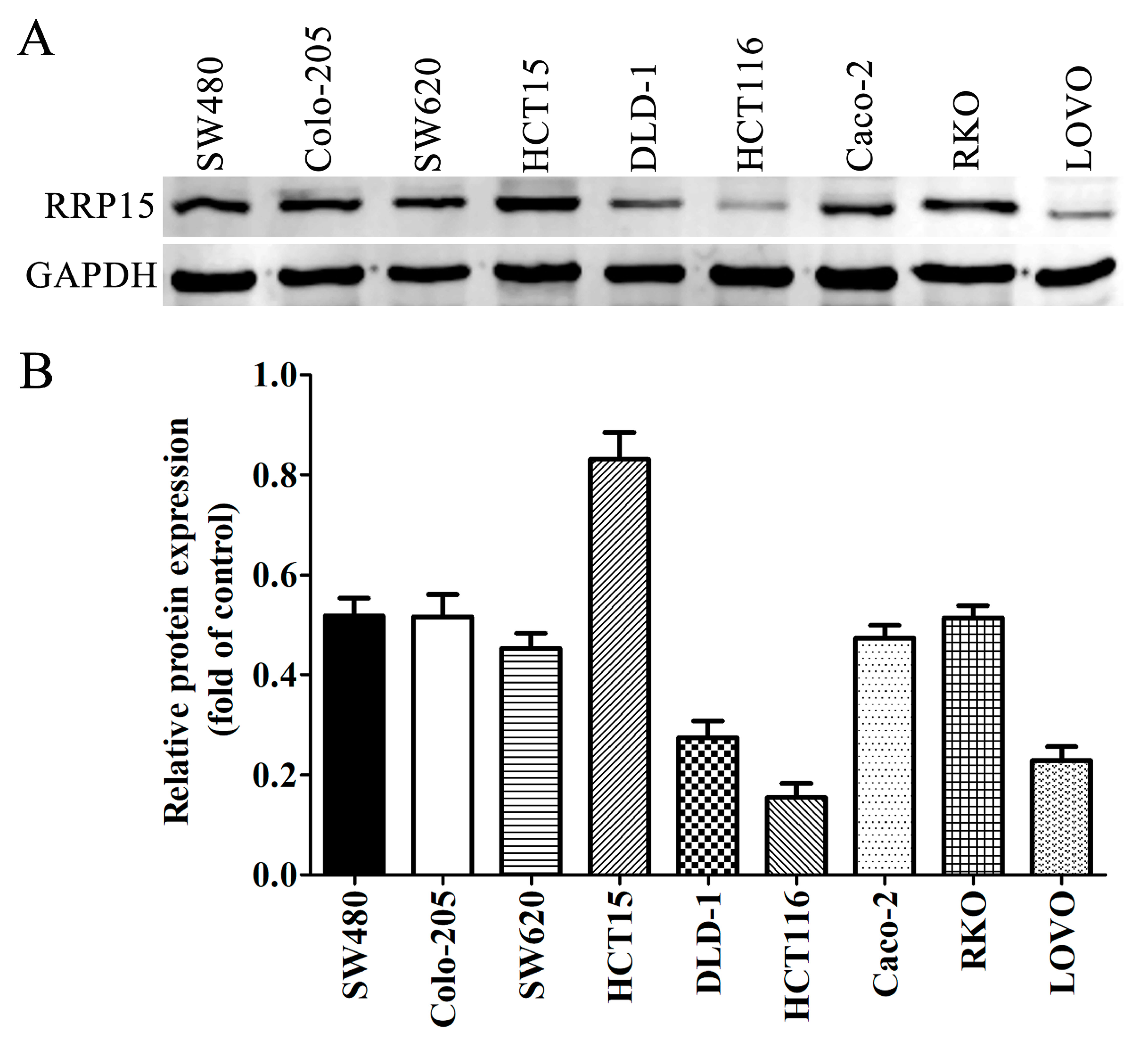 Ijms 24 03528 g003 550