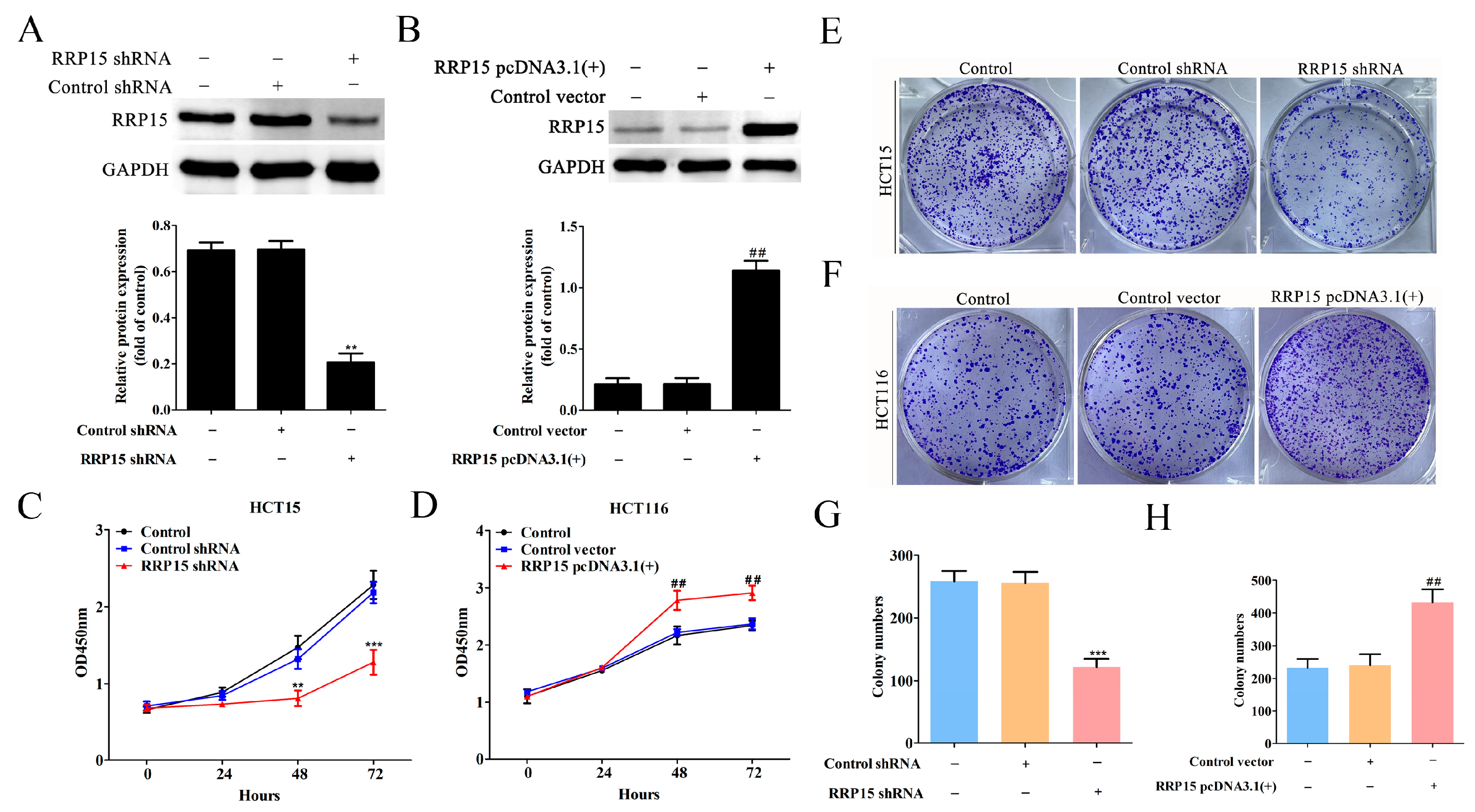 Ijms 24 03528 g004 550