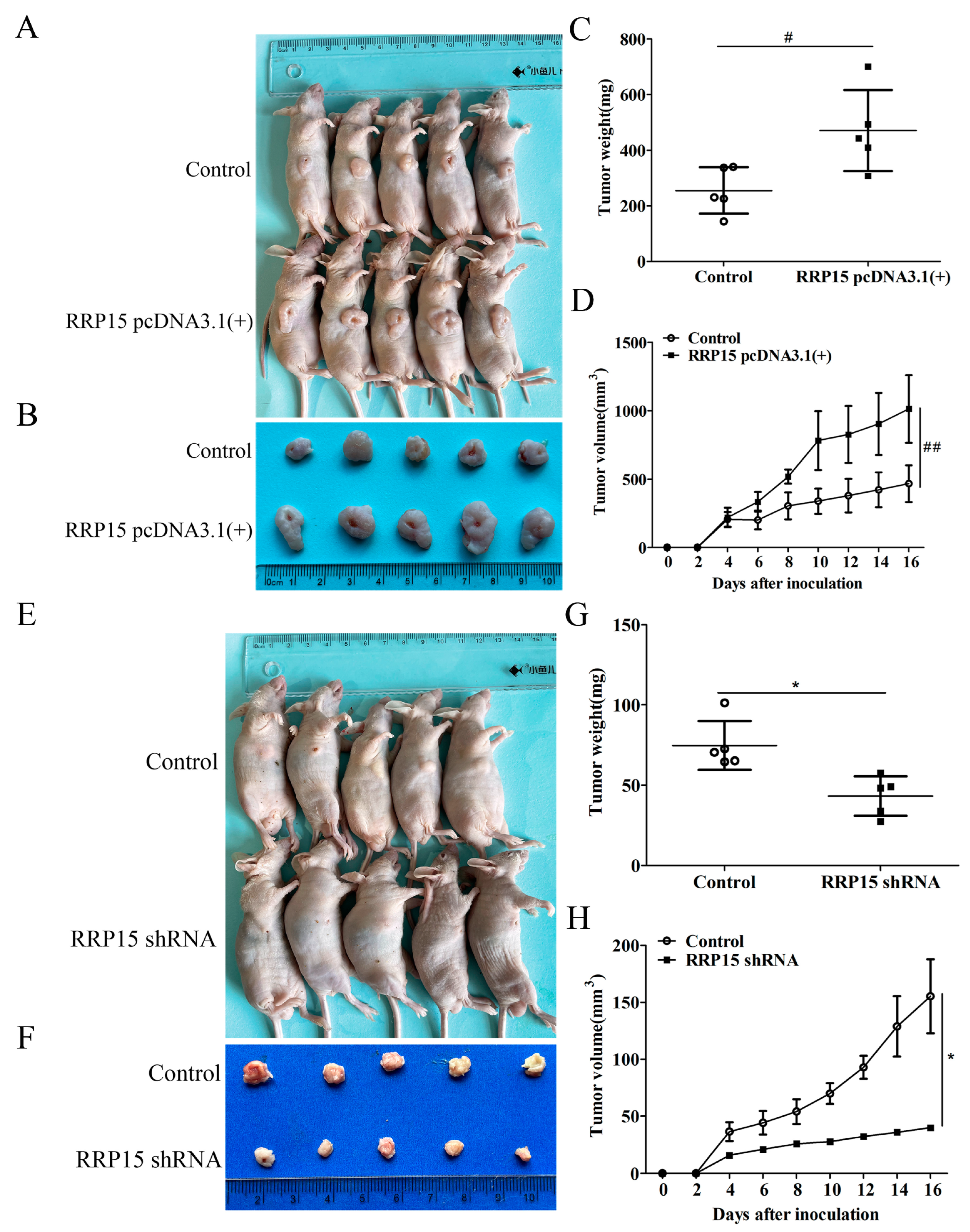 Ijms 24 03528 g006 550