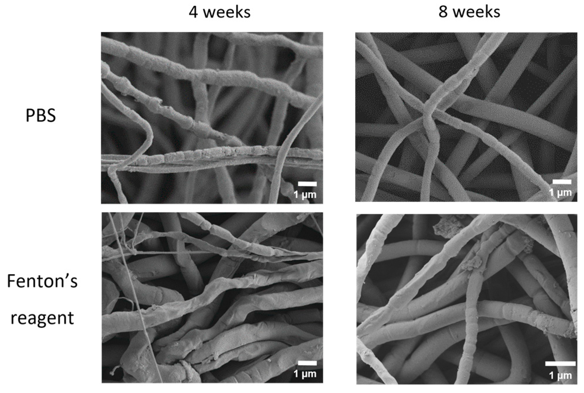 Ijms 24 03535 g005 Ijms 24 03535 g005