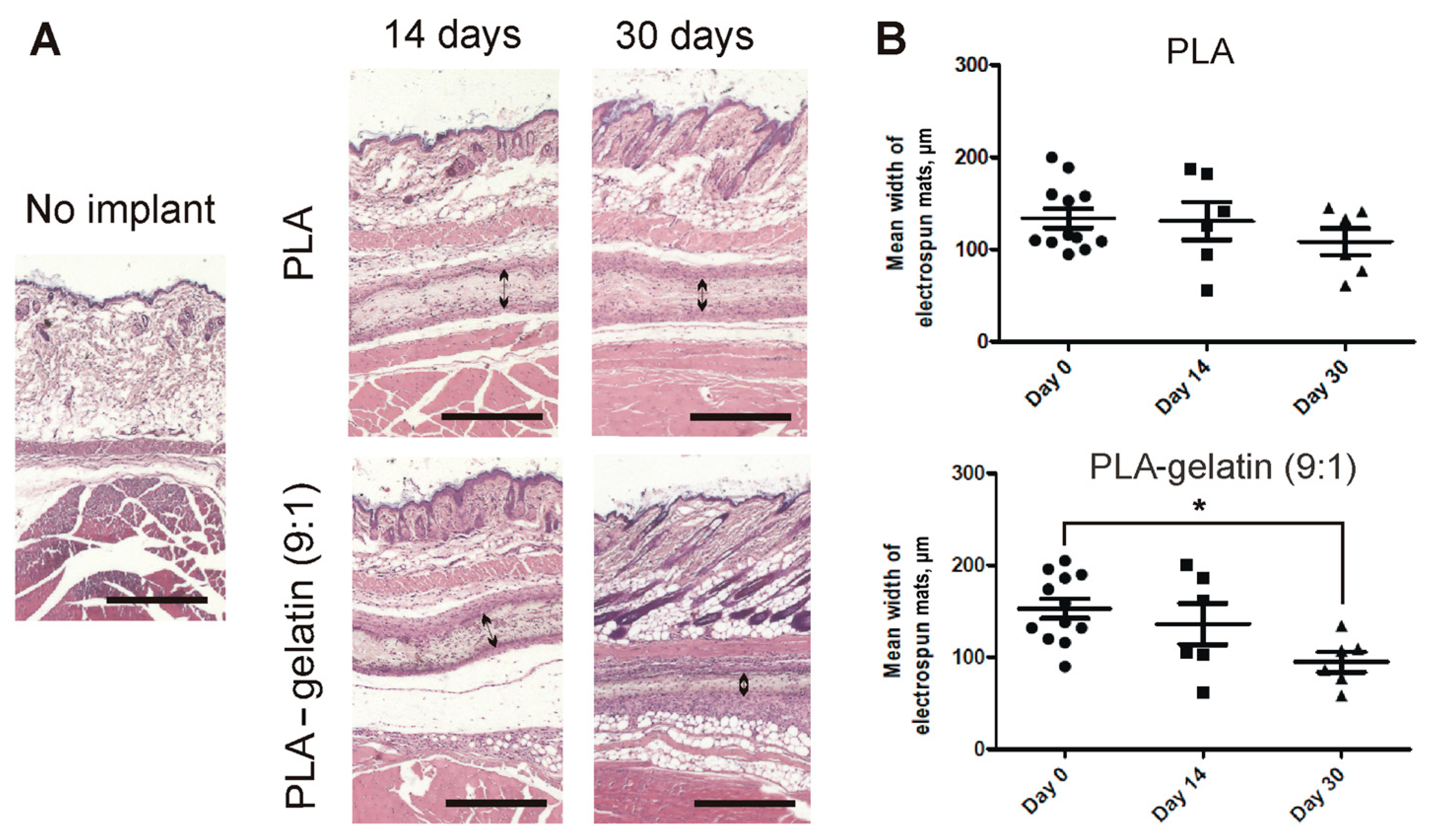 Ijms 24 03535 g008 Ijms 24 03535 g008