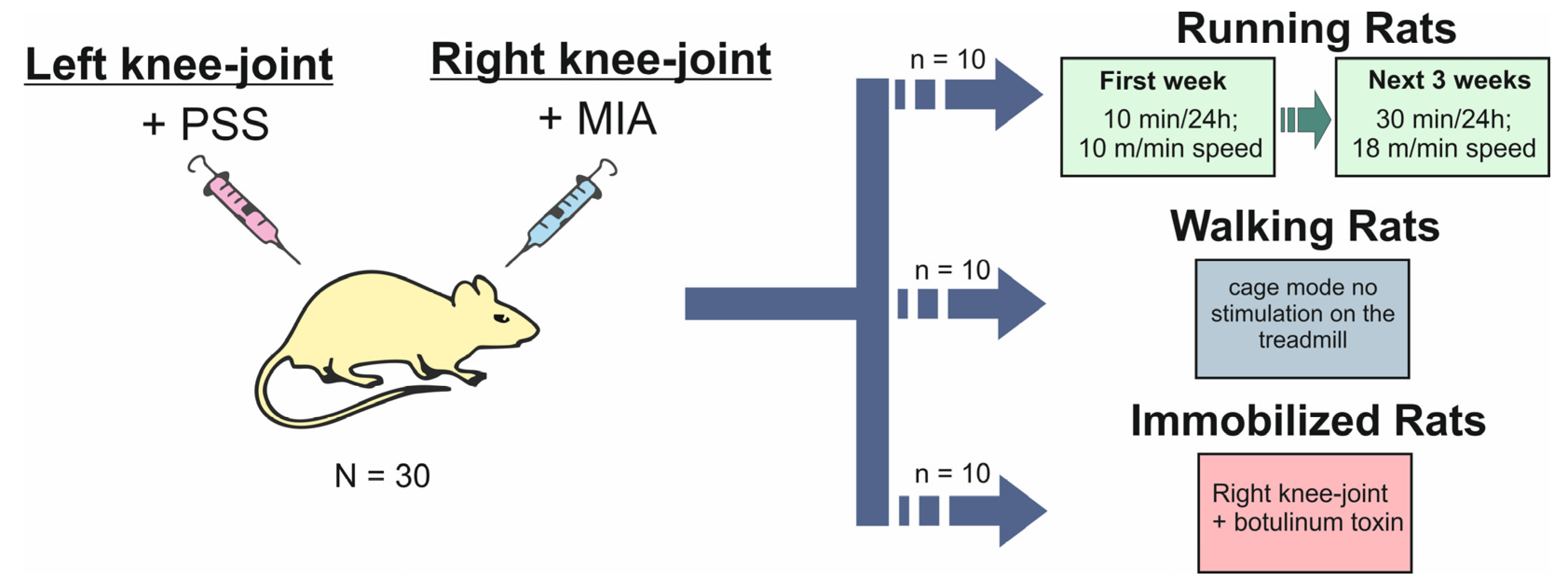 Ijms 24 03540 sch001
