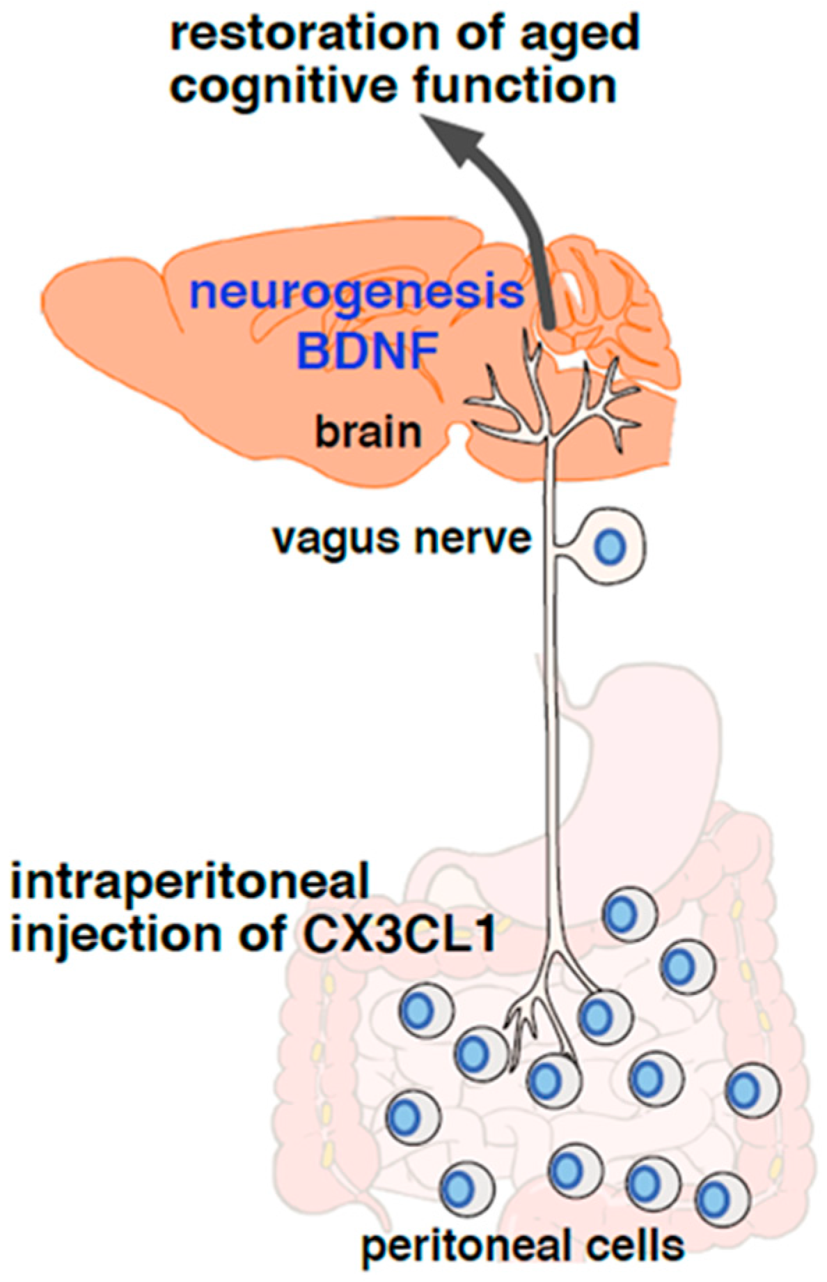 Ijms 24 03543 g001 Ijms 24 03543 g001