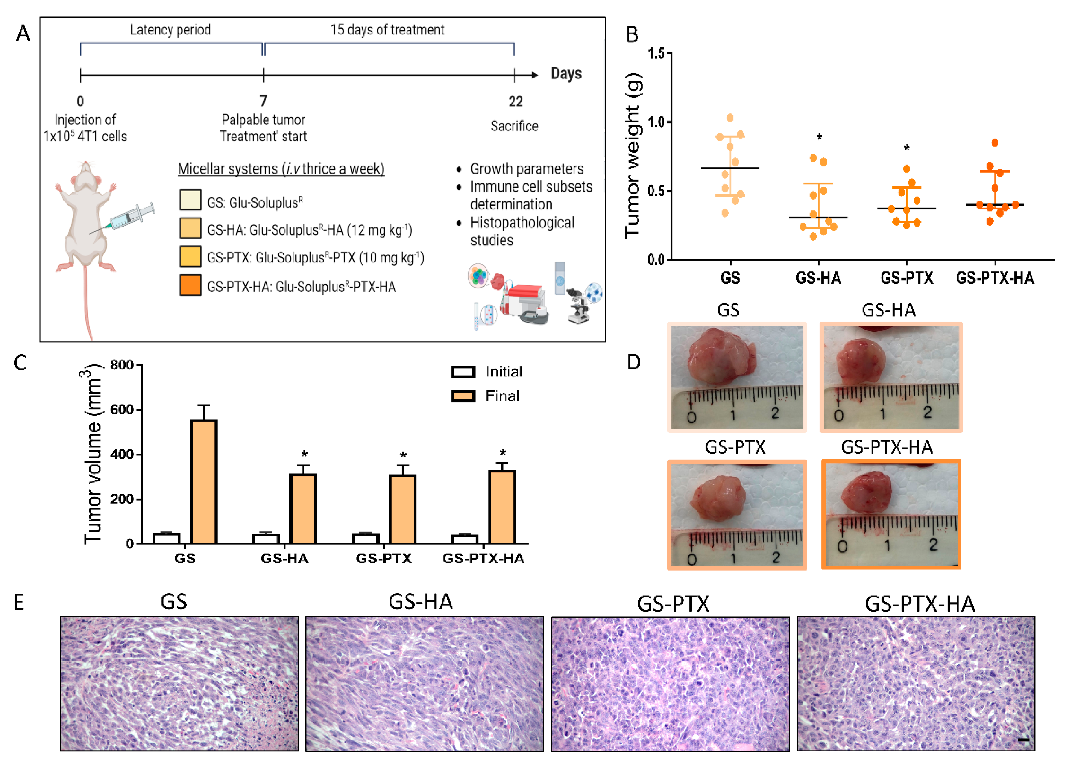 Ijms 24 03546 g006 Ijms 24 03546 g006