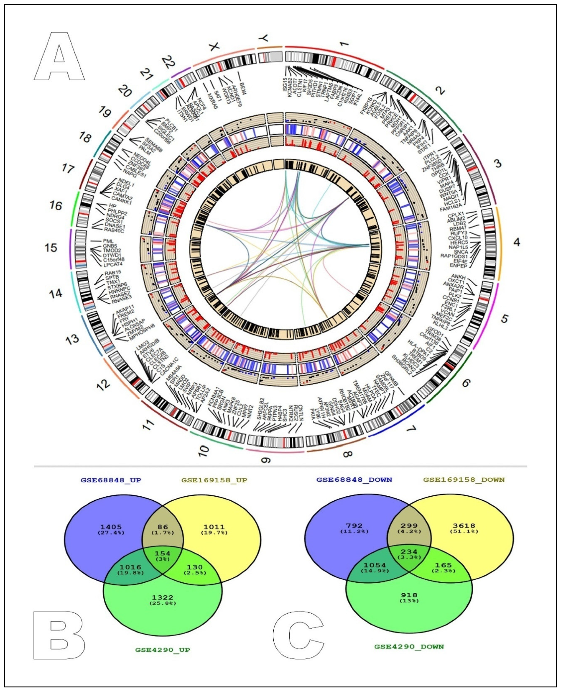 Ijms 24 03562 g001 Ijms 24 03562 g001