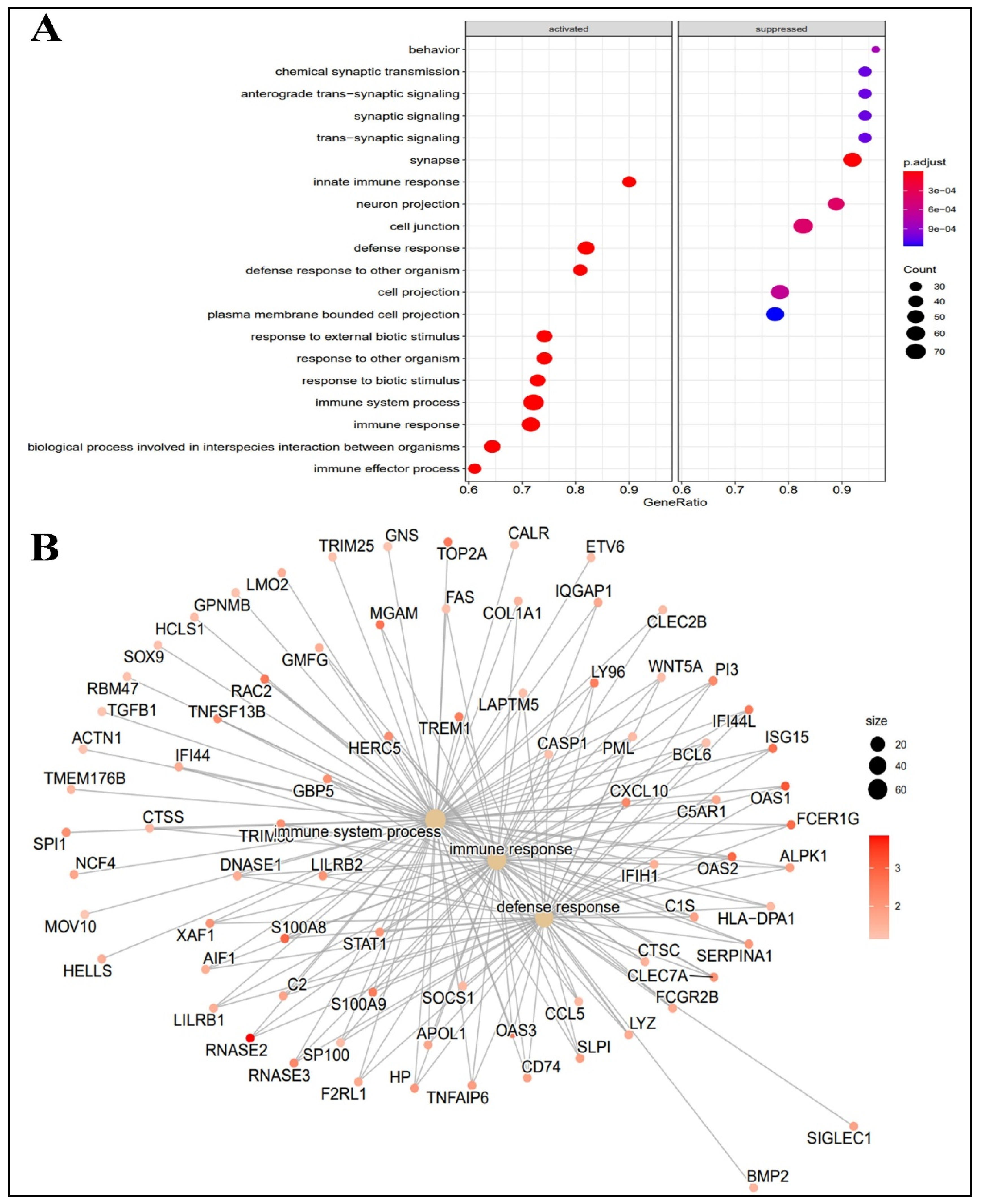 Ijms 24 03562 g002 Ijms 24 03562 g002