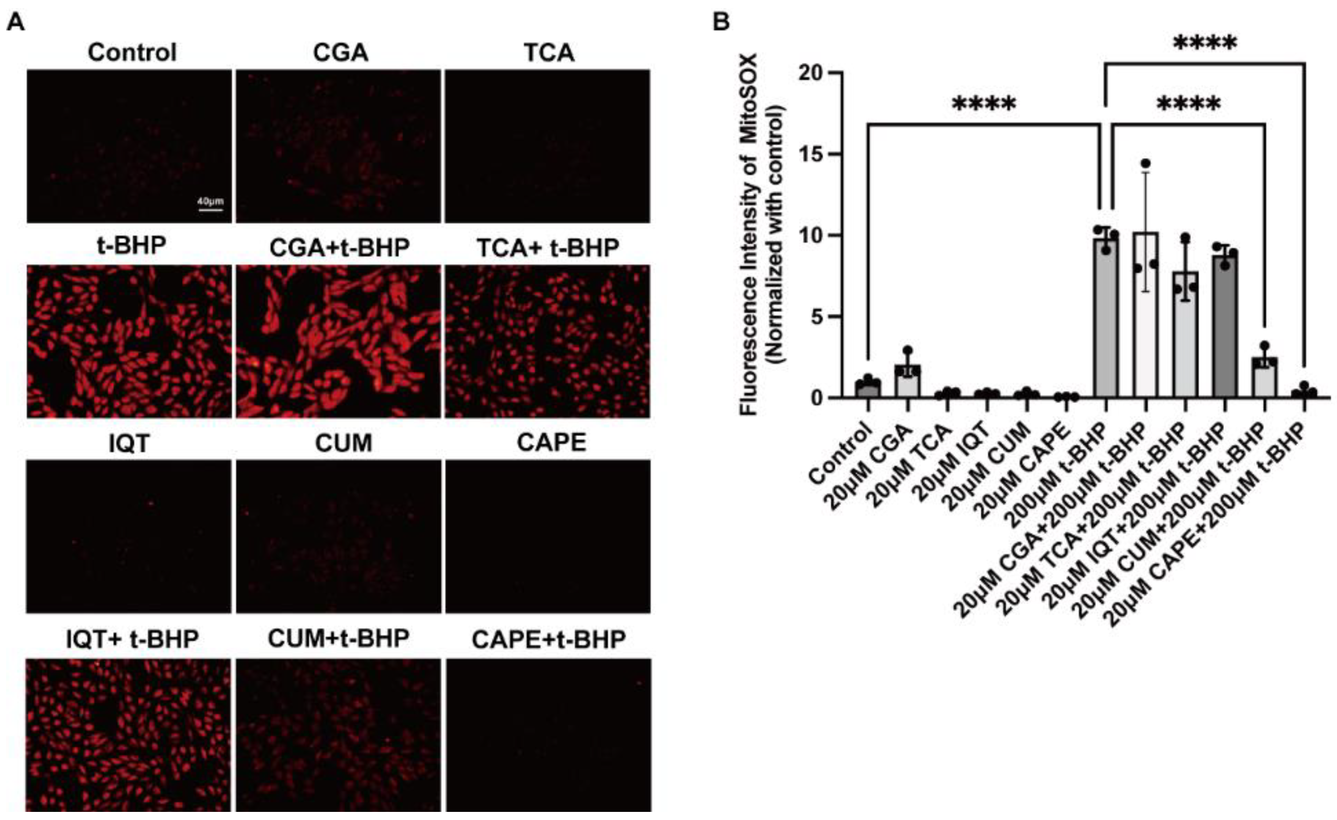 Ijms 24 03565 g001 Ijms 24 03565 g001