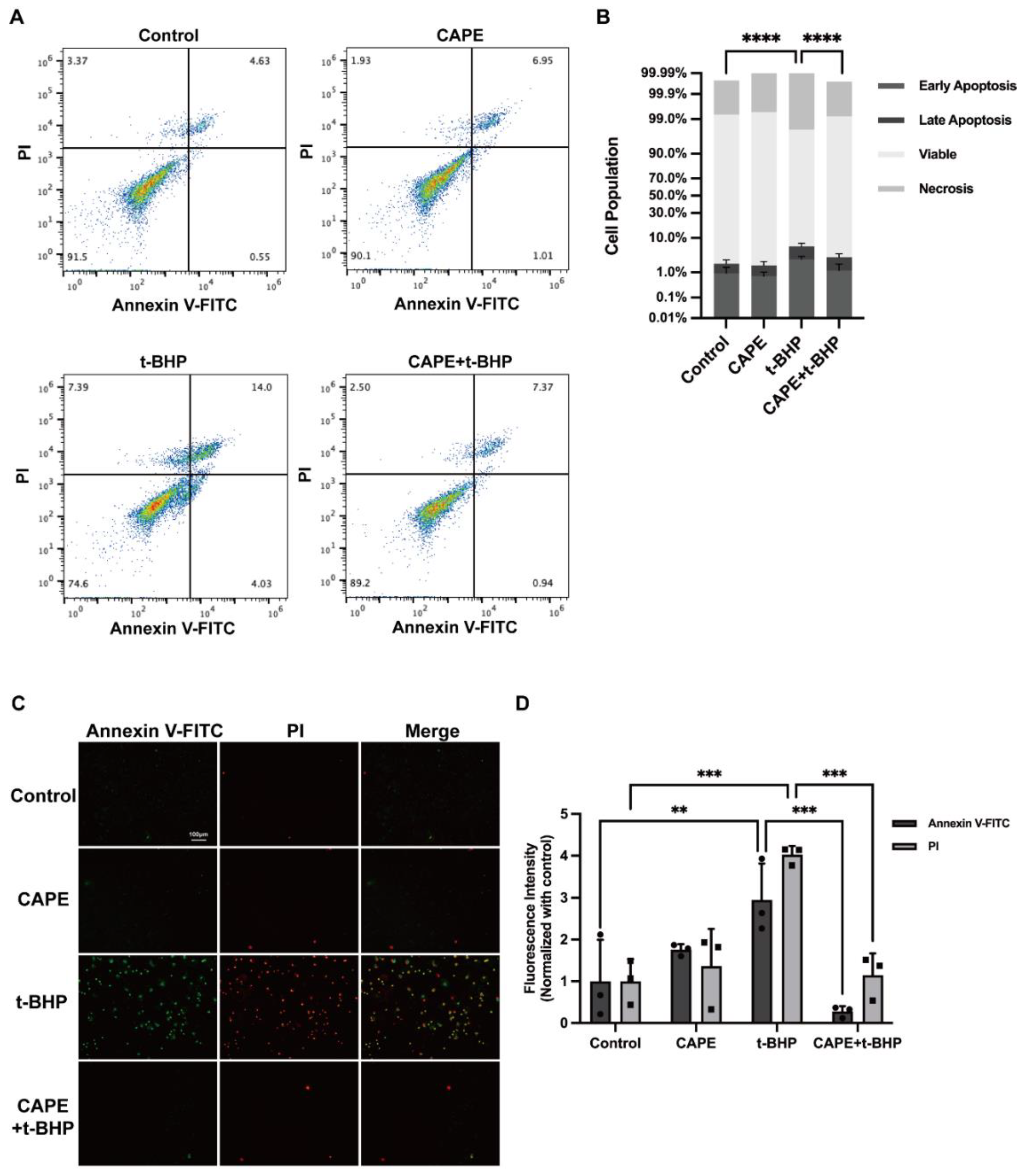 Ijms 24 03565 g002 Ijms 24 03565 g002