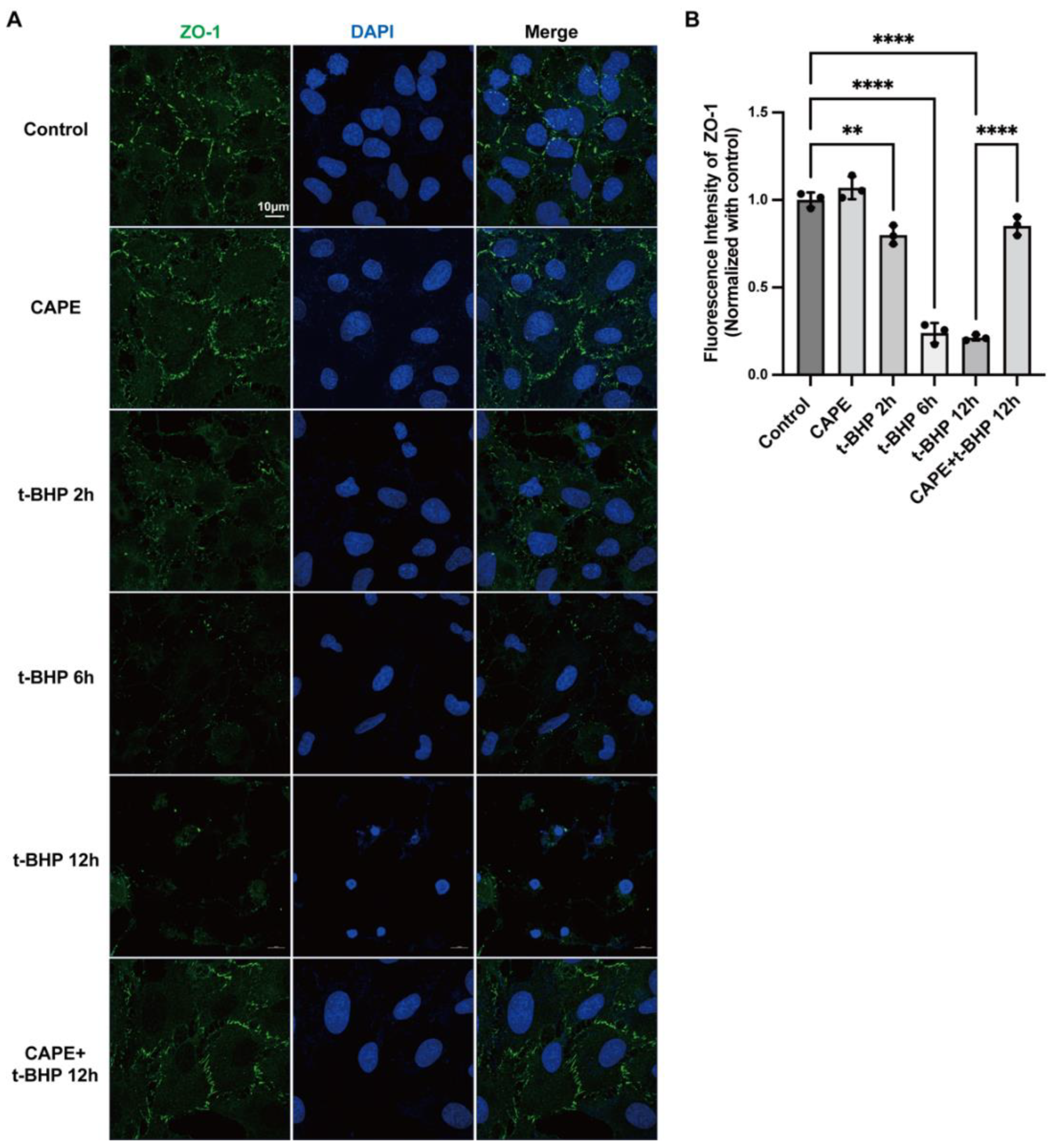 Ijms 24 03565 g003 Ijms 24 03565 g003