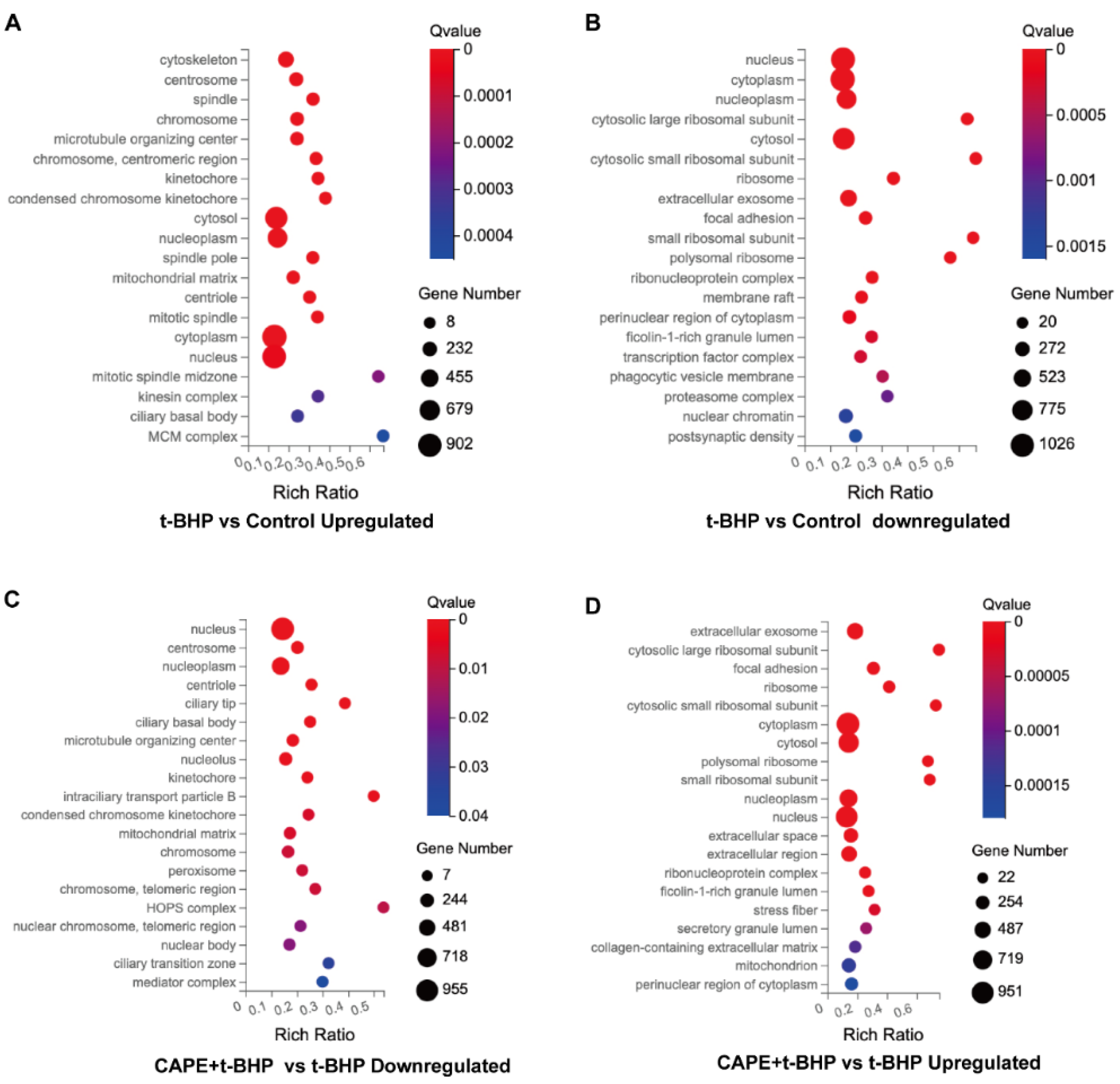 Ijms 24 03565 g005 Ijms 24 03565 g005