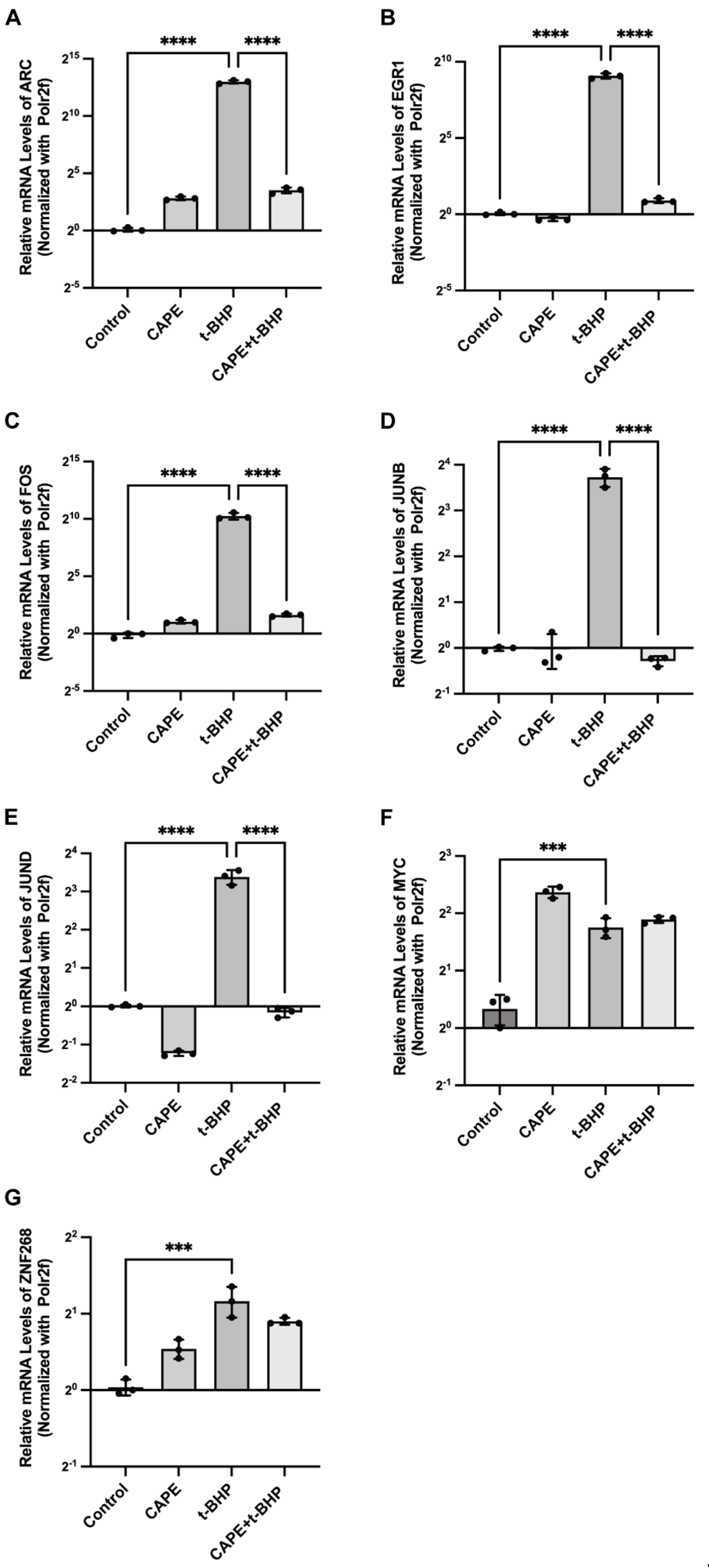 Ijms 24 03565 g006 Ijms 24 03565 g006