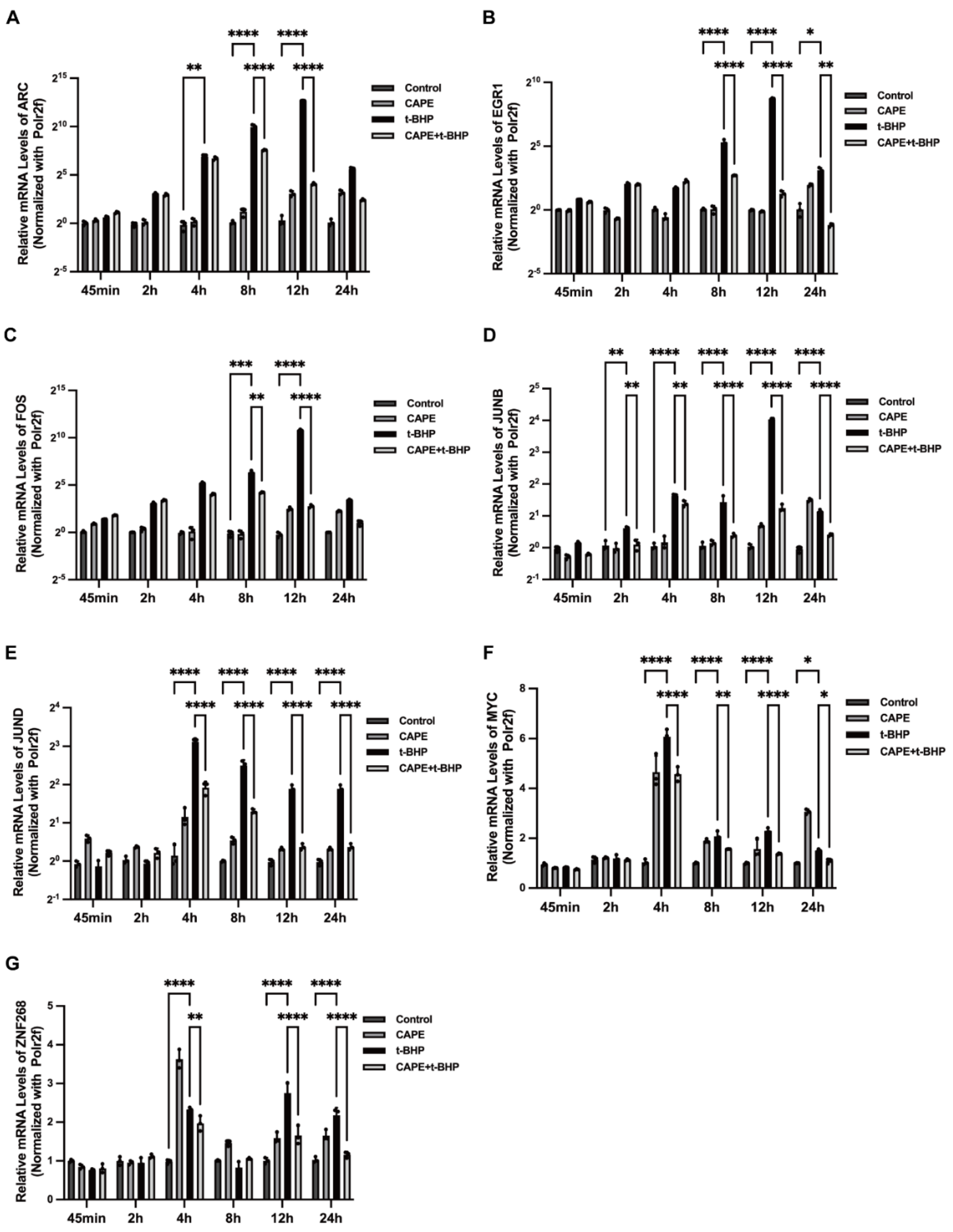 Ijms 24 03565 g007 Ijms 24 03565 g007