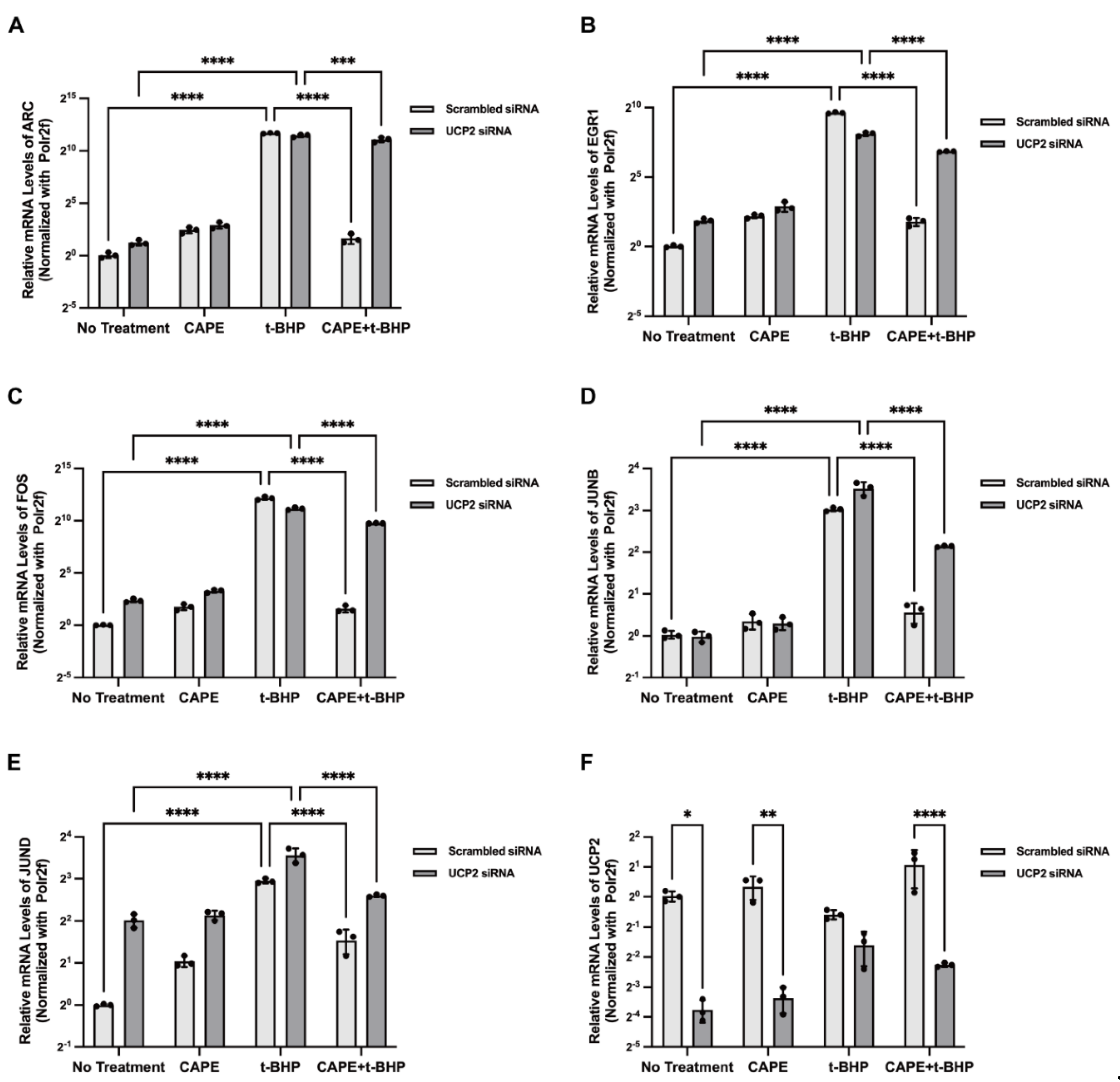 Ijms 24 03565 g008 Ijms 24 03565 g008