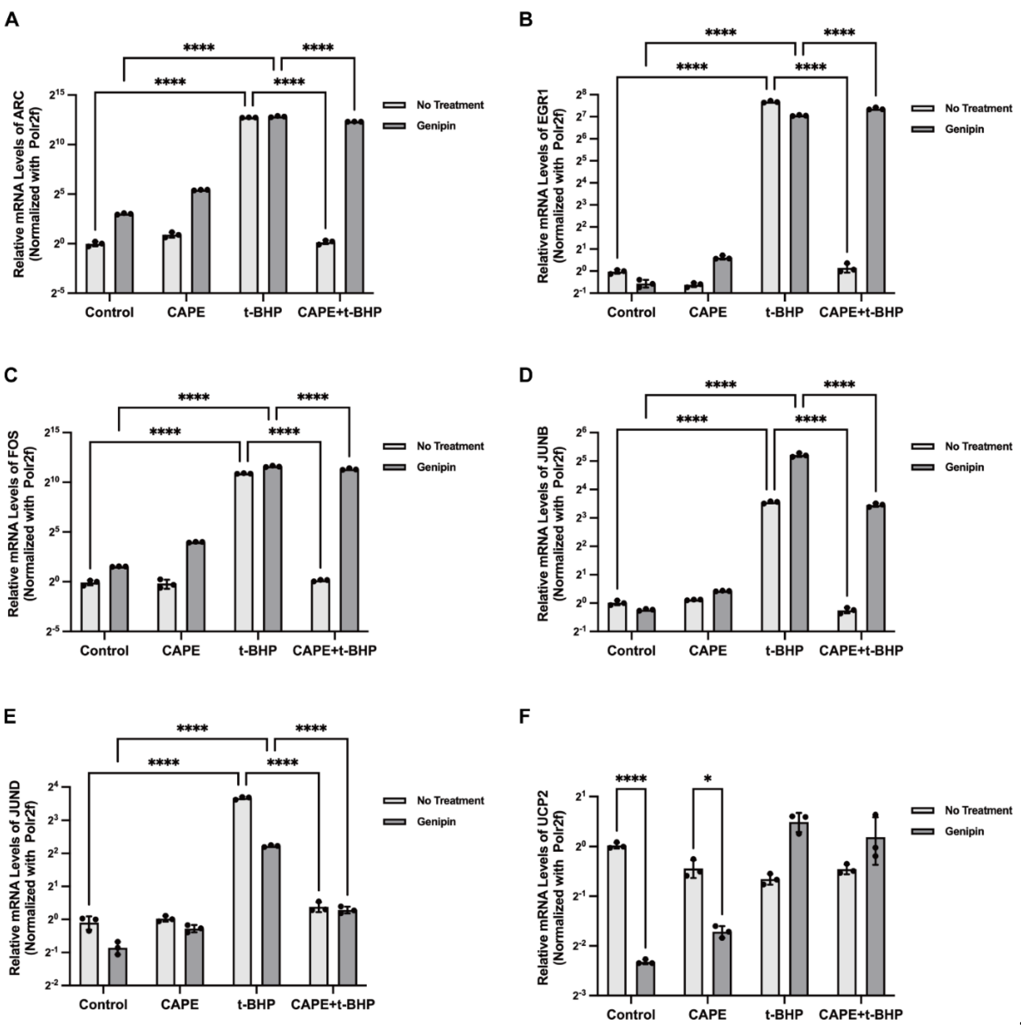 Ijms 24 03565 g009 Ijms 24 03565 g009
