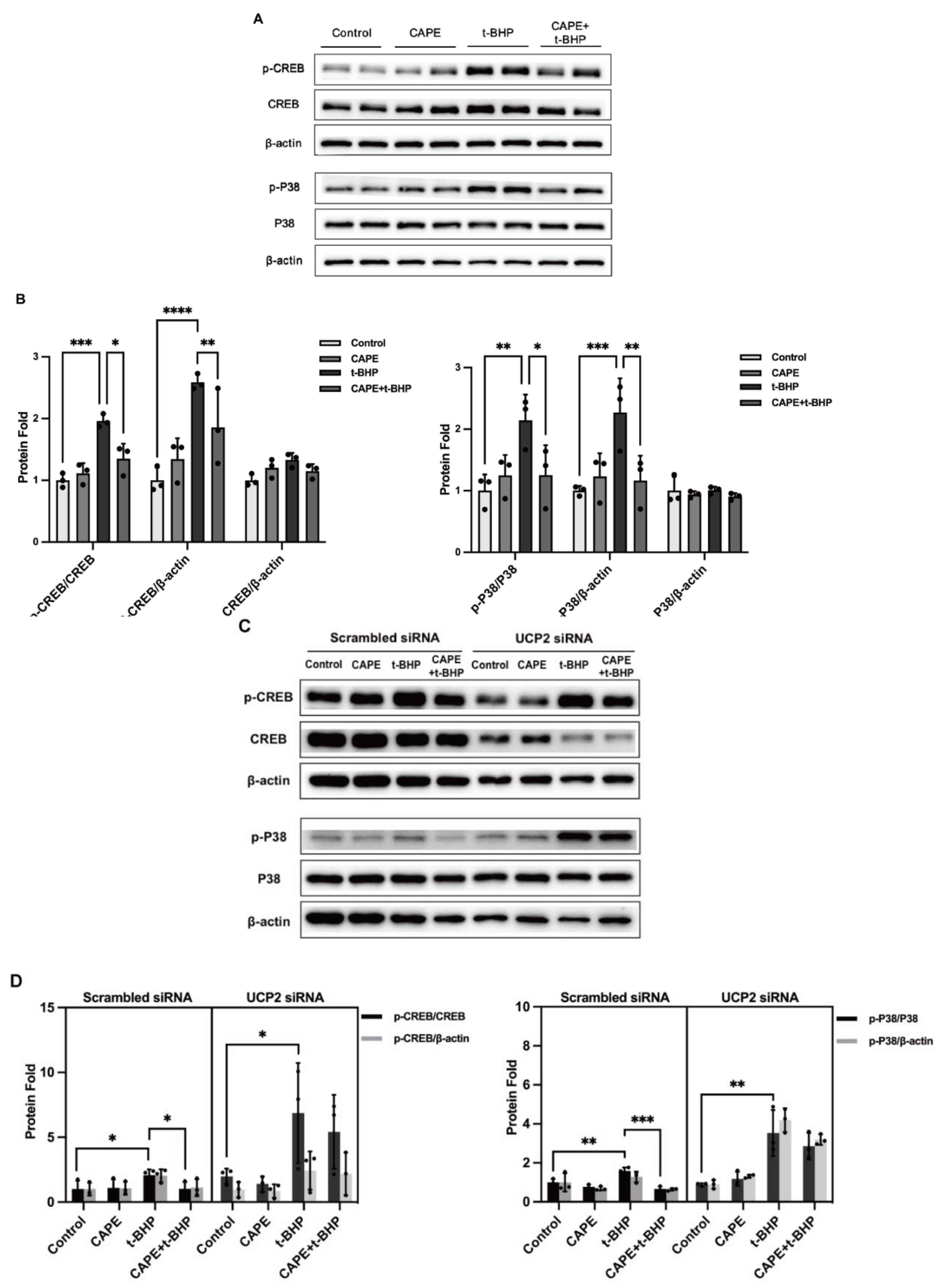 Ijms 24 03565 g010a Ijms 24 03565 g010a