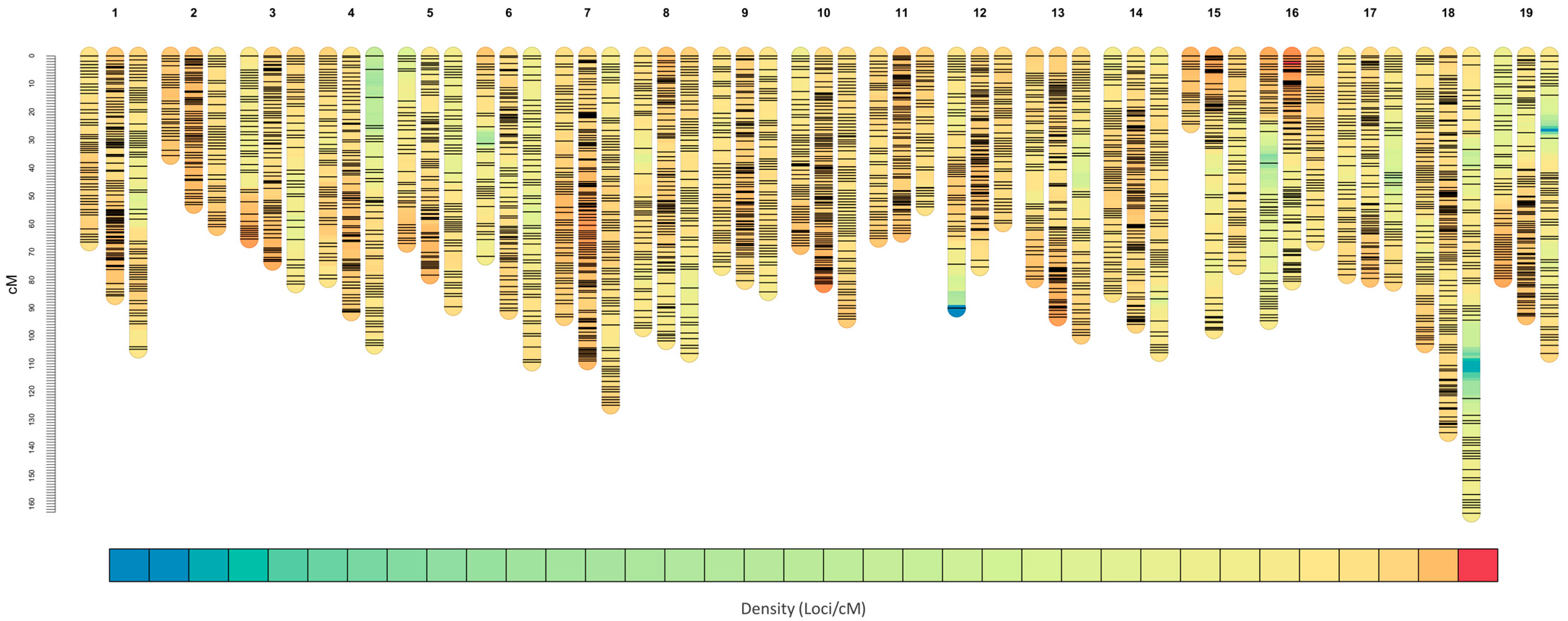 Ijms 24 03568 g003 Ijms 24 03568 g003