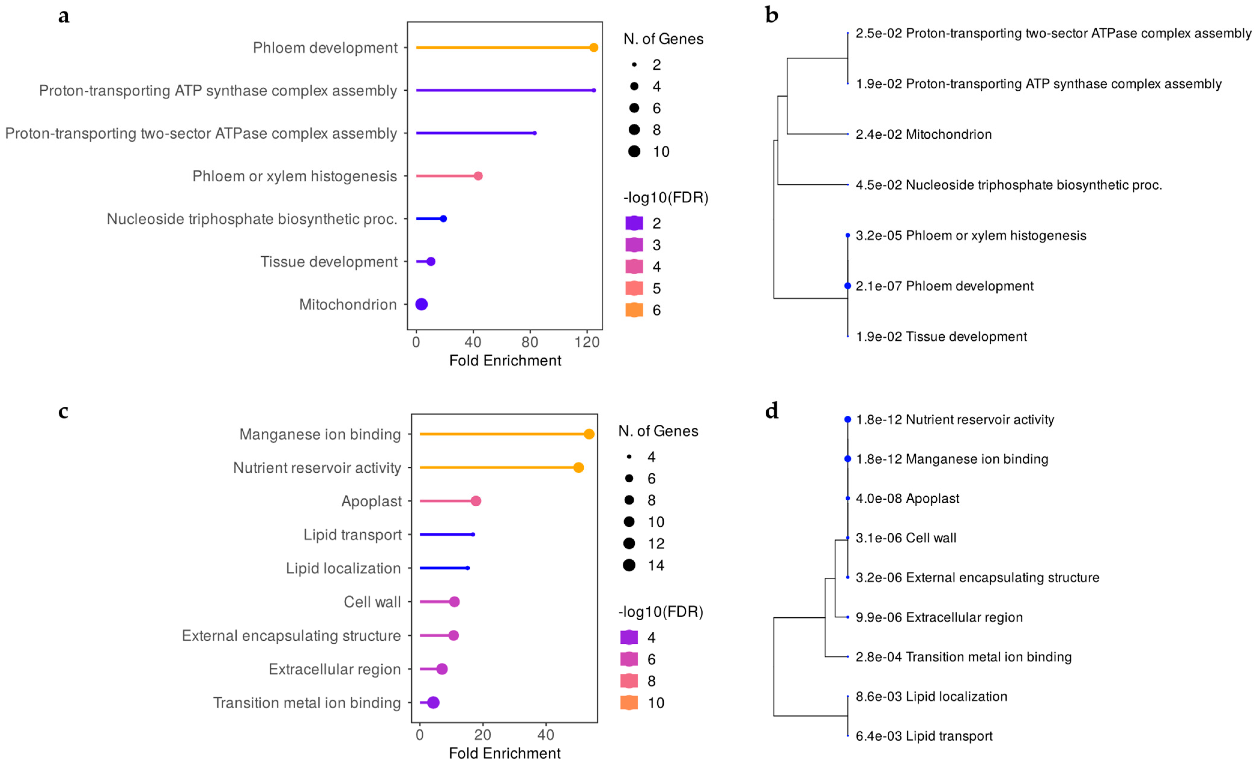 Ijms 24 03568 g006 Ijms 24 03568 g006