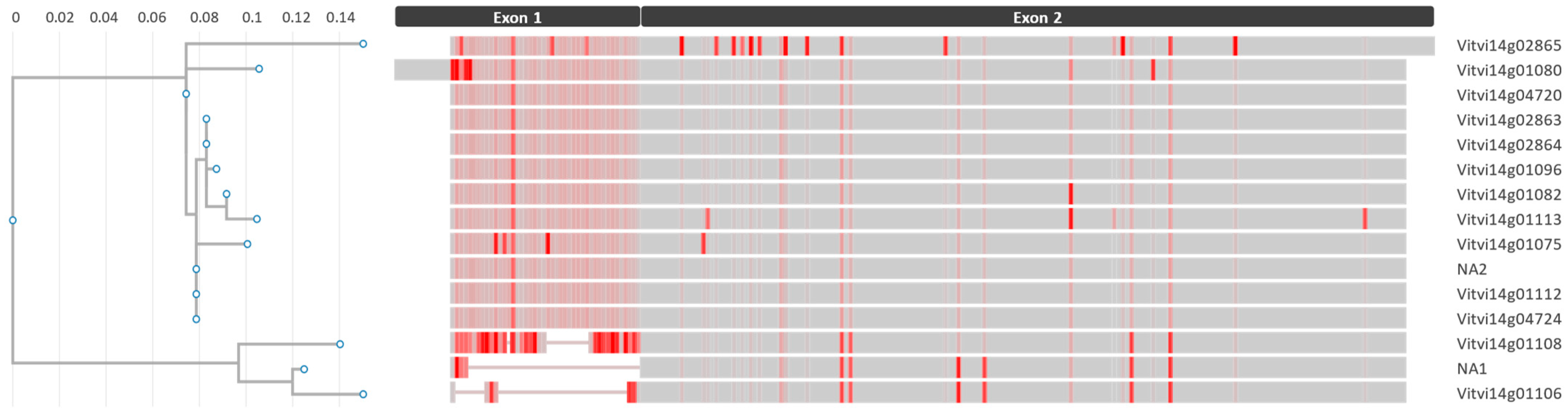 Ijms 24 03568 g007 Ijms 24 03568 g007