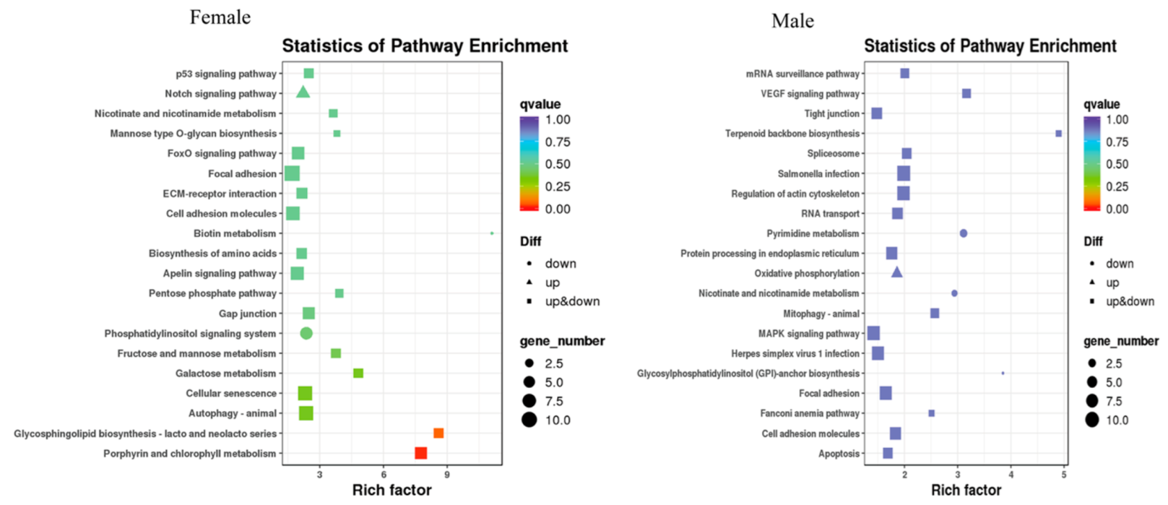 Ijms 24 03571 g008 550