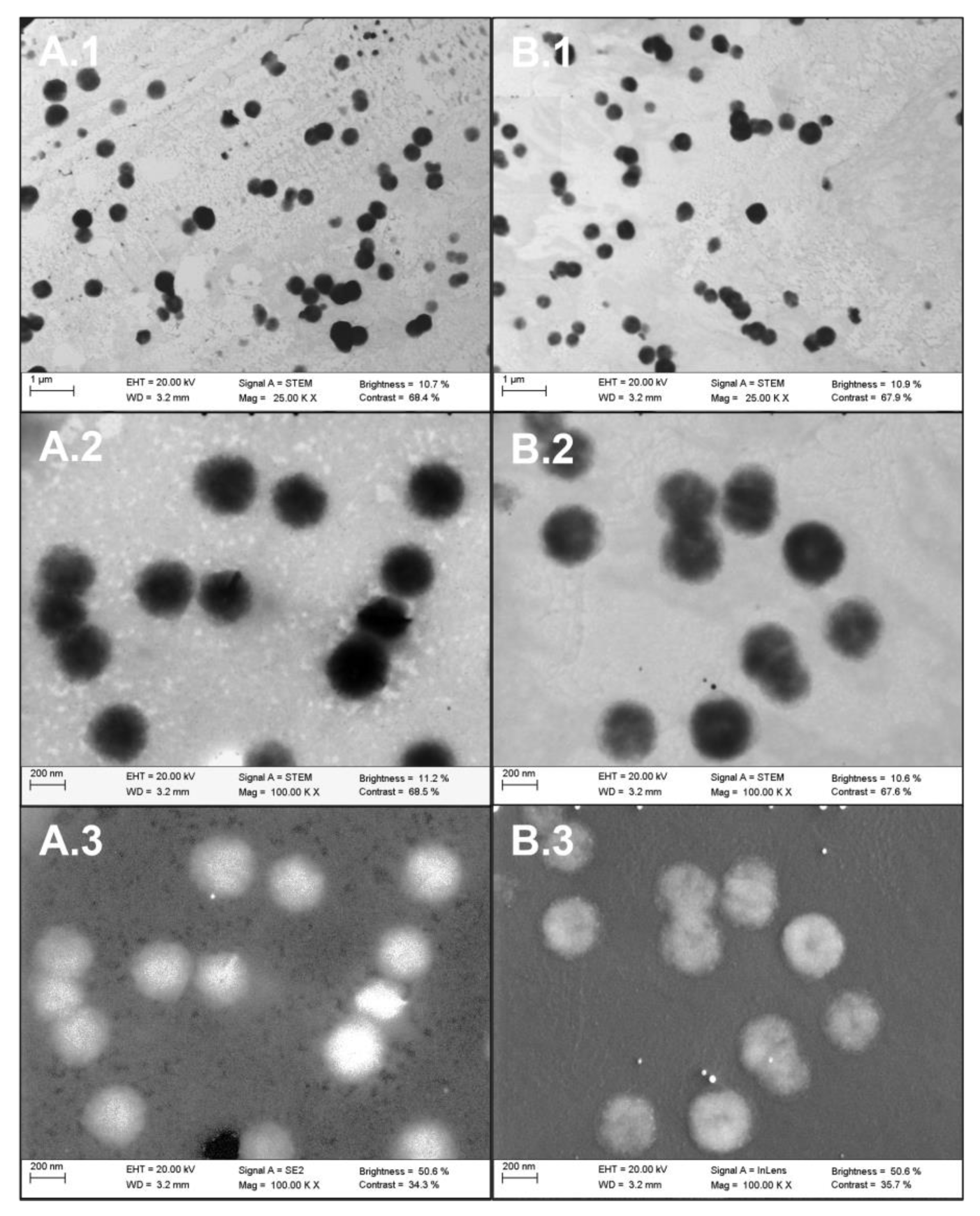 Ijms 24 03578 g001 Ijms 24 03578 g001