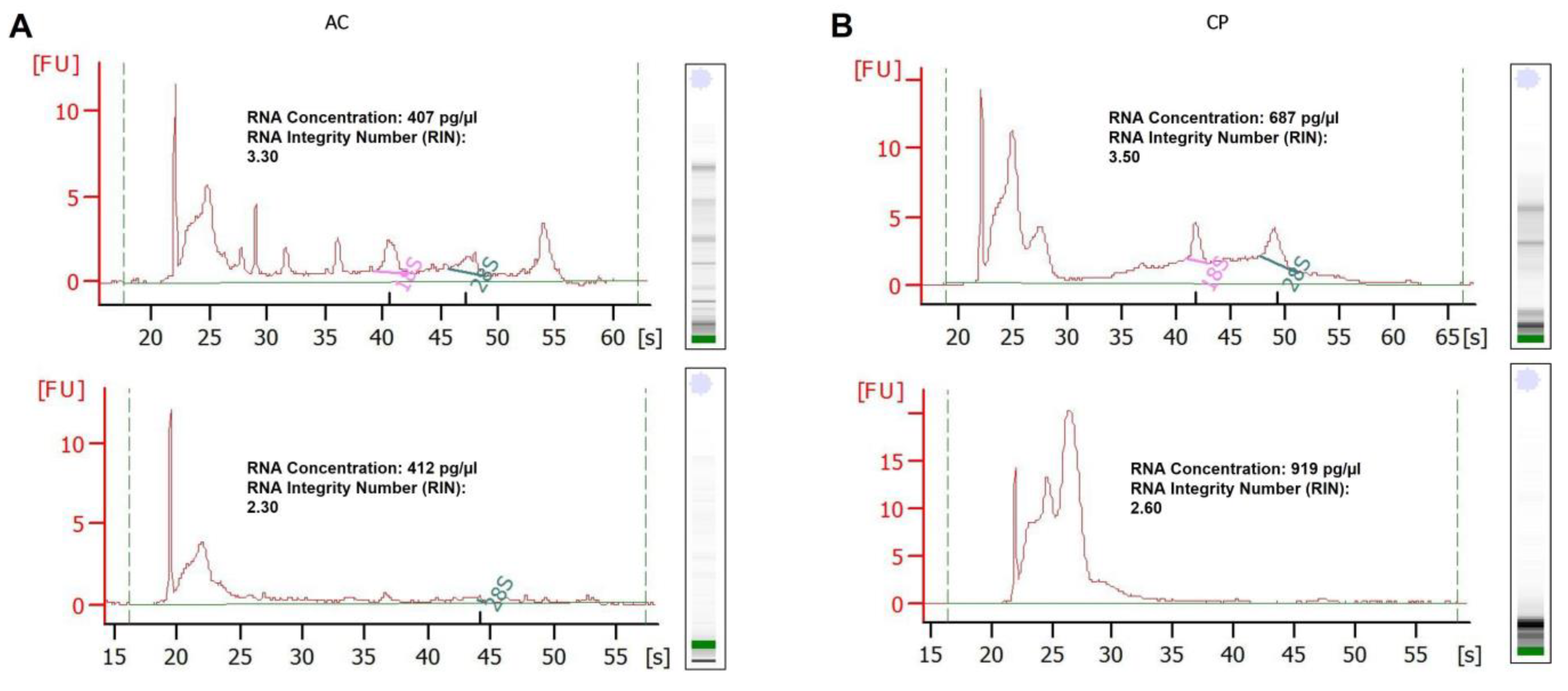 Ijms 24 03578 g003 Ijms 24 03578 g003