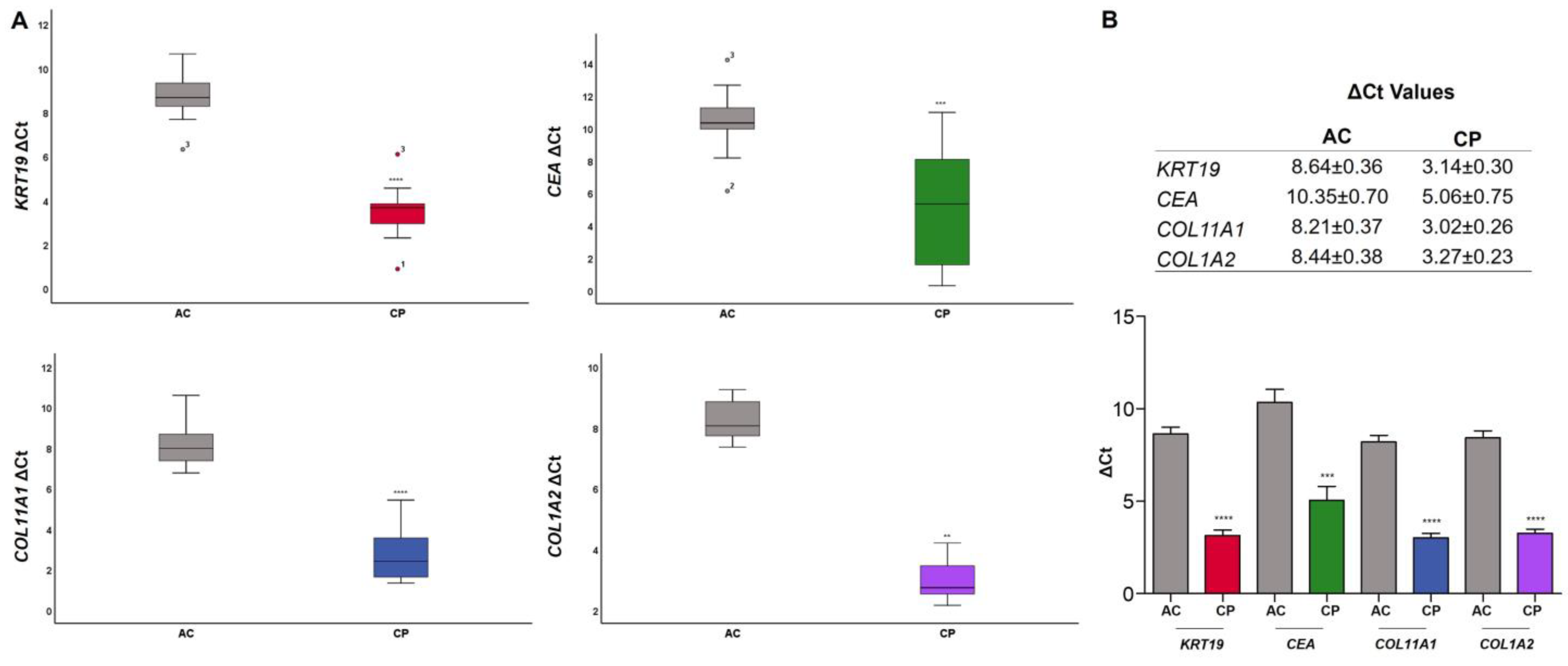 Ijms 24 03578 g004 Ijms 24 03578 g004