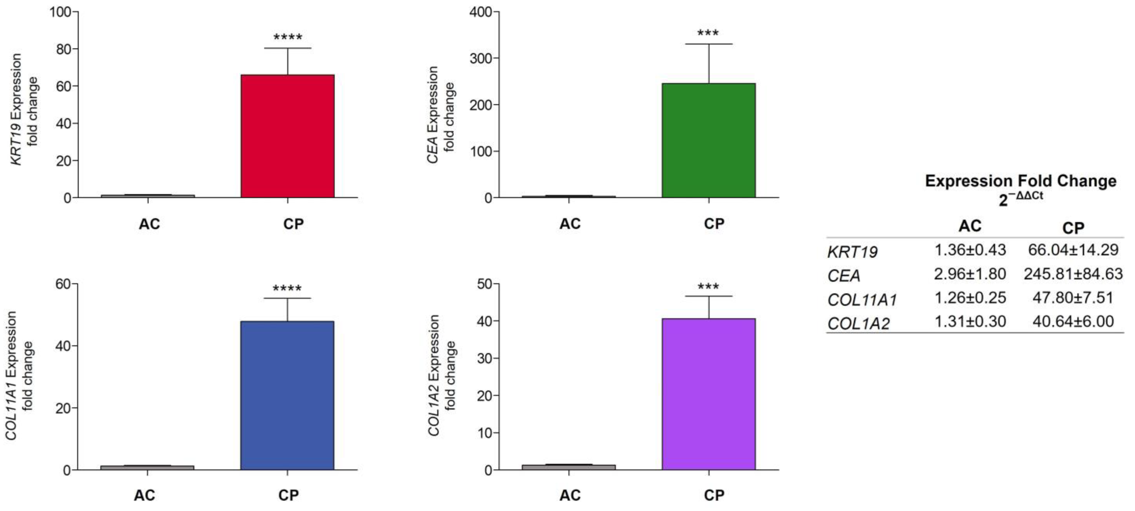 Ijms 24 03578 g005 Ijms 24 03578 g005