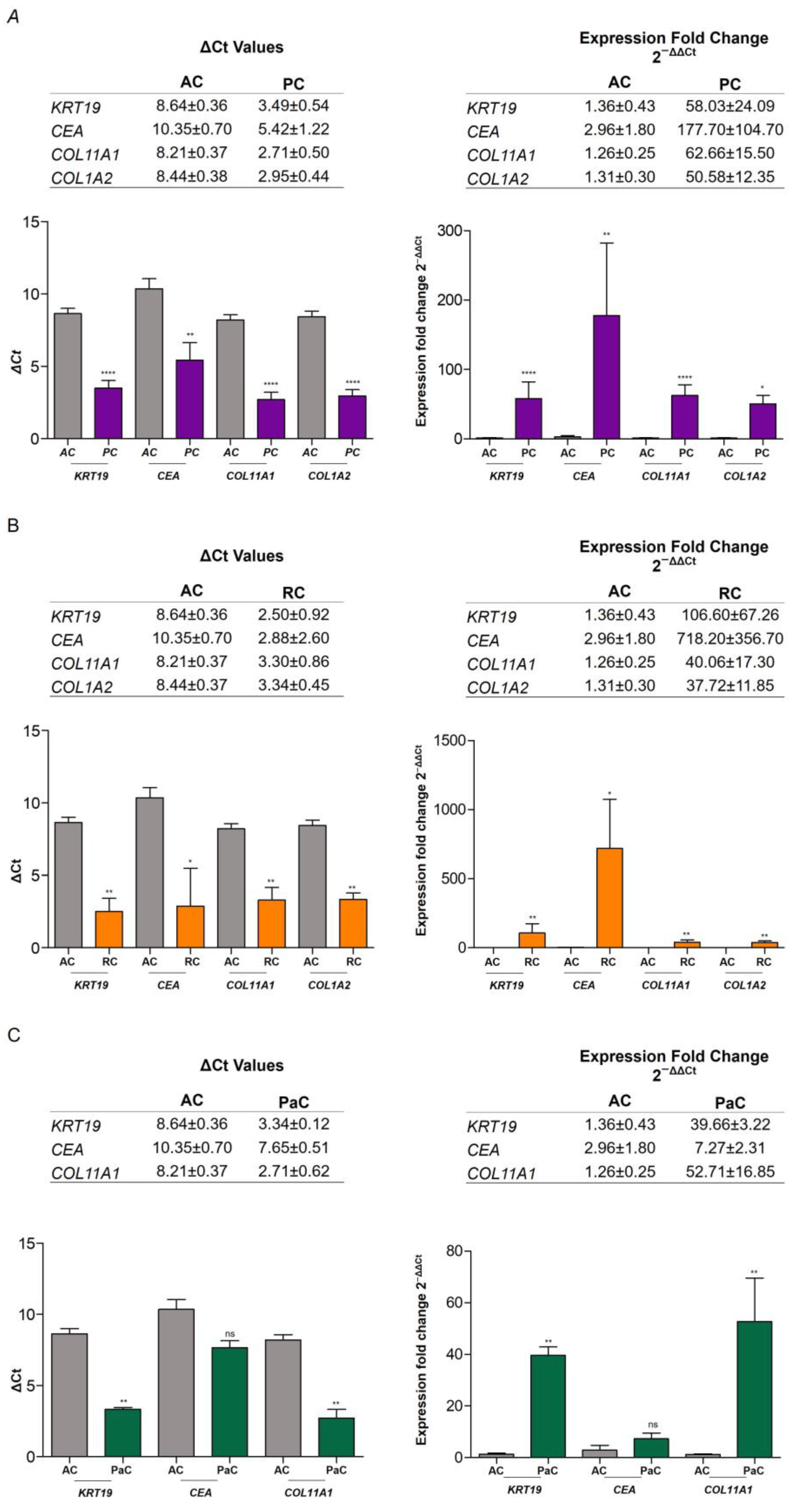 Ijms 24 03578 g006 Ijms 24 03578 g006