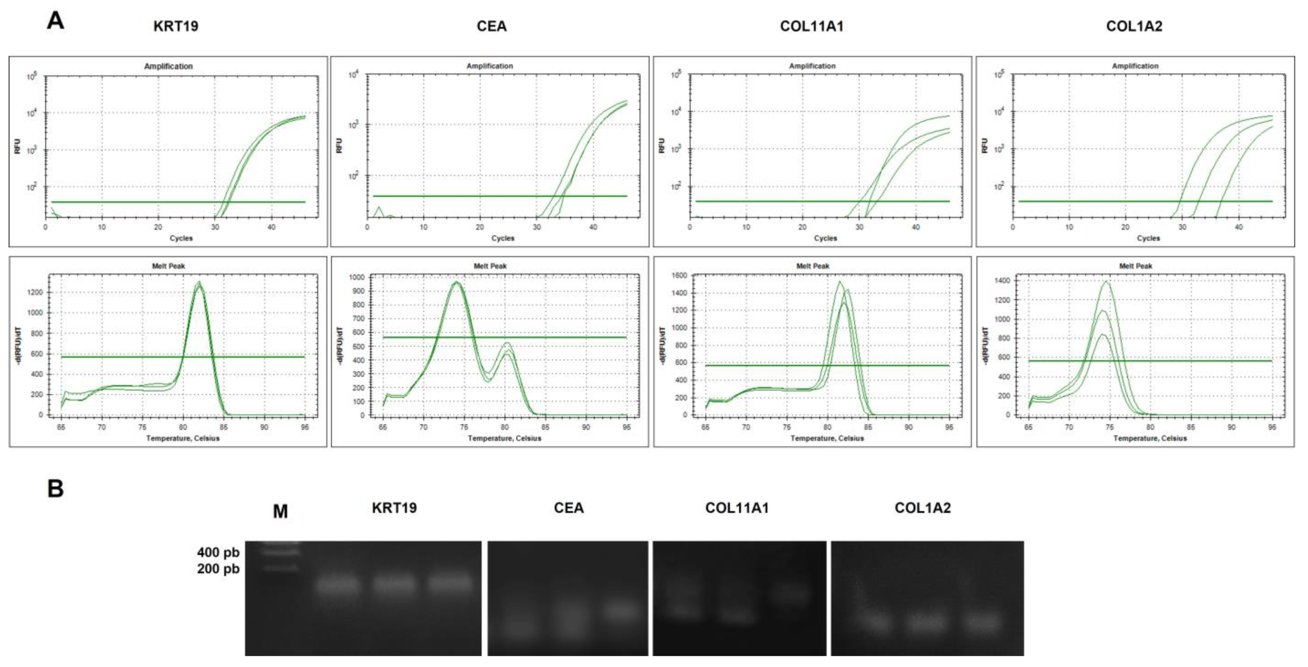 Ijms 24 03578 g007 Ijms 24 03578 g007