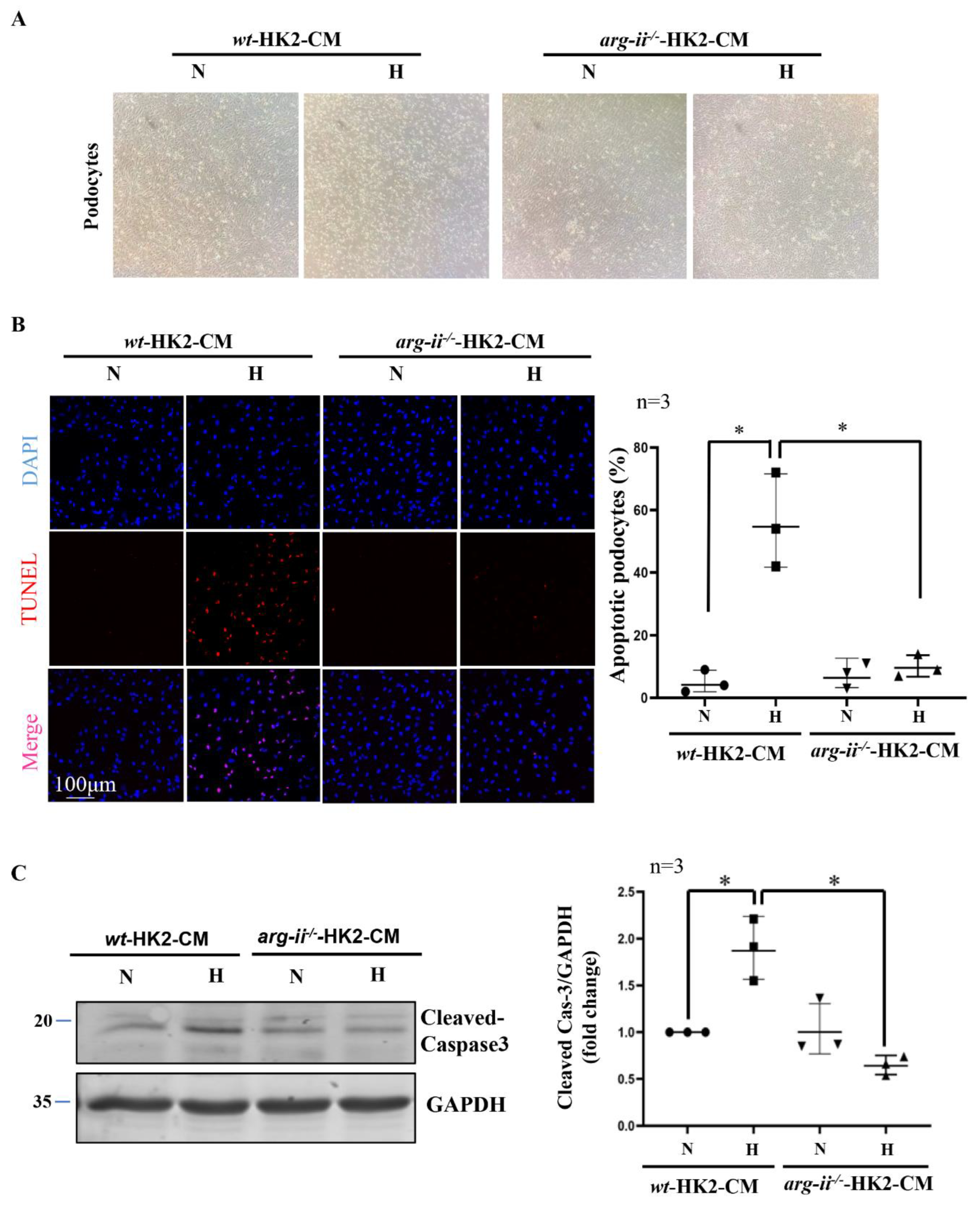 Ijms 24 03587 g002 Ijms 24 03587 g002