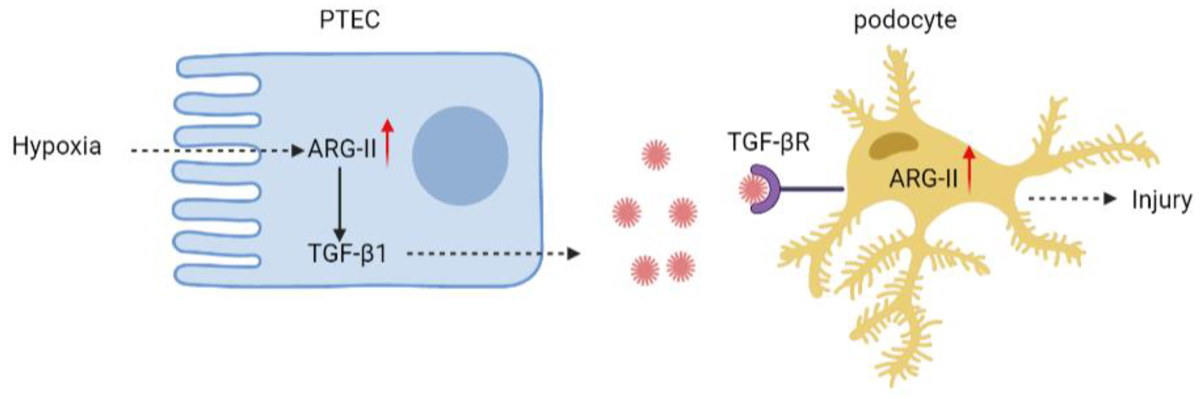 Ijms 24 03587 g006 Ijms 24 03587 g006