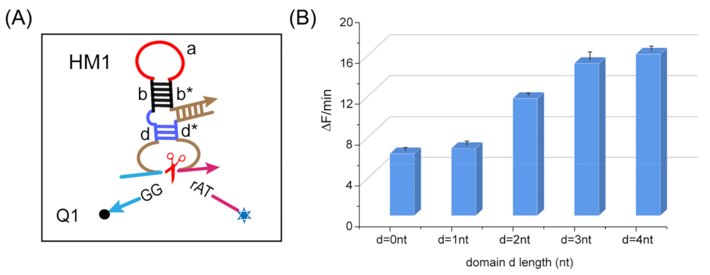 Ijms 24 03588 g002 Ijms 24 03588 g002