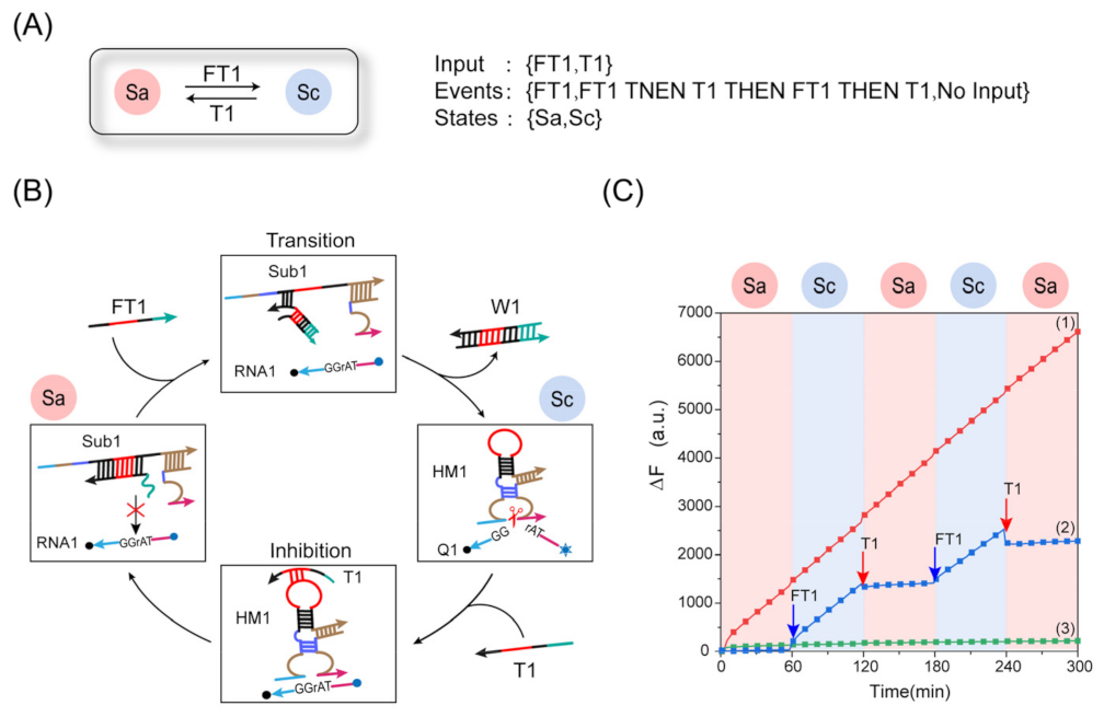 Ijms 24 03588 g004 Ijms 24 03588 g004