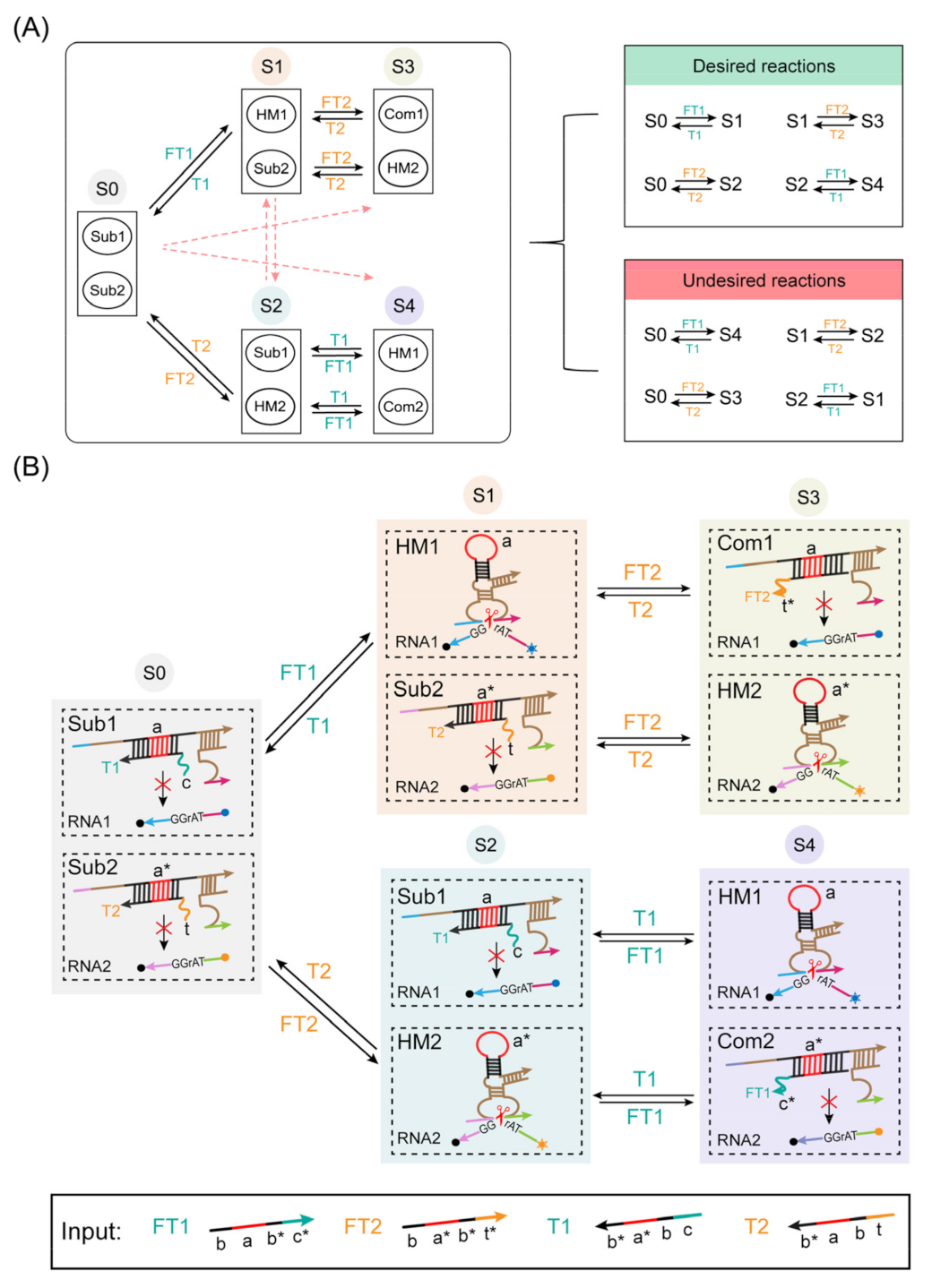 Ijms 24 03588 g005 Ijms 24 03588 g005
