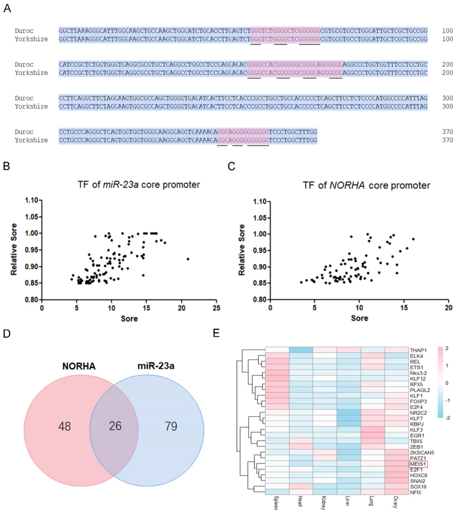 Ijms 24 03589 g001 Ijms 24 03589 g001
