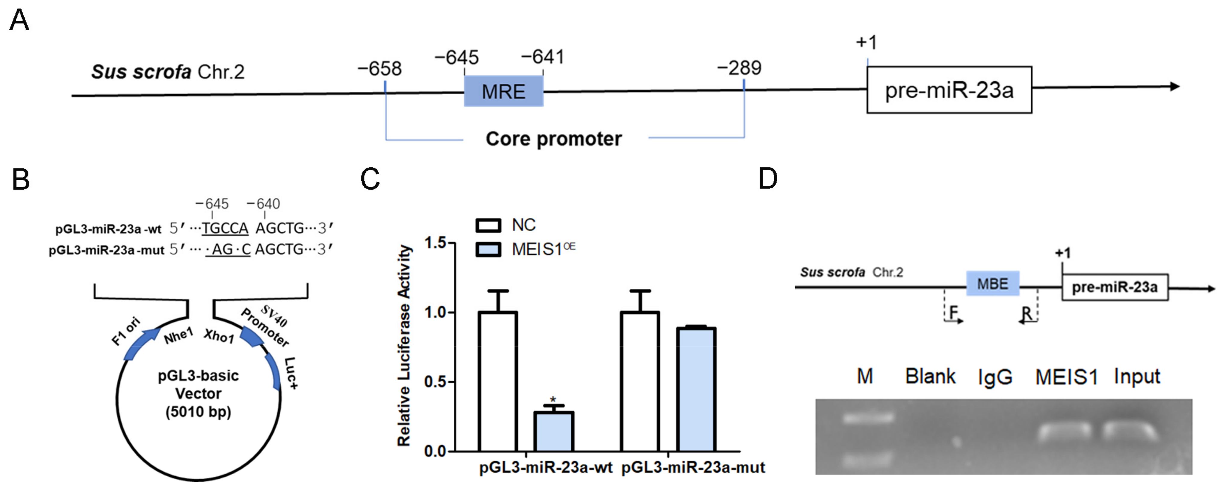 Ijms 24 03589 g004 Ijms 24 03589 g004