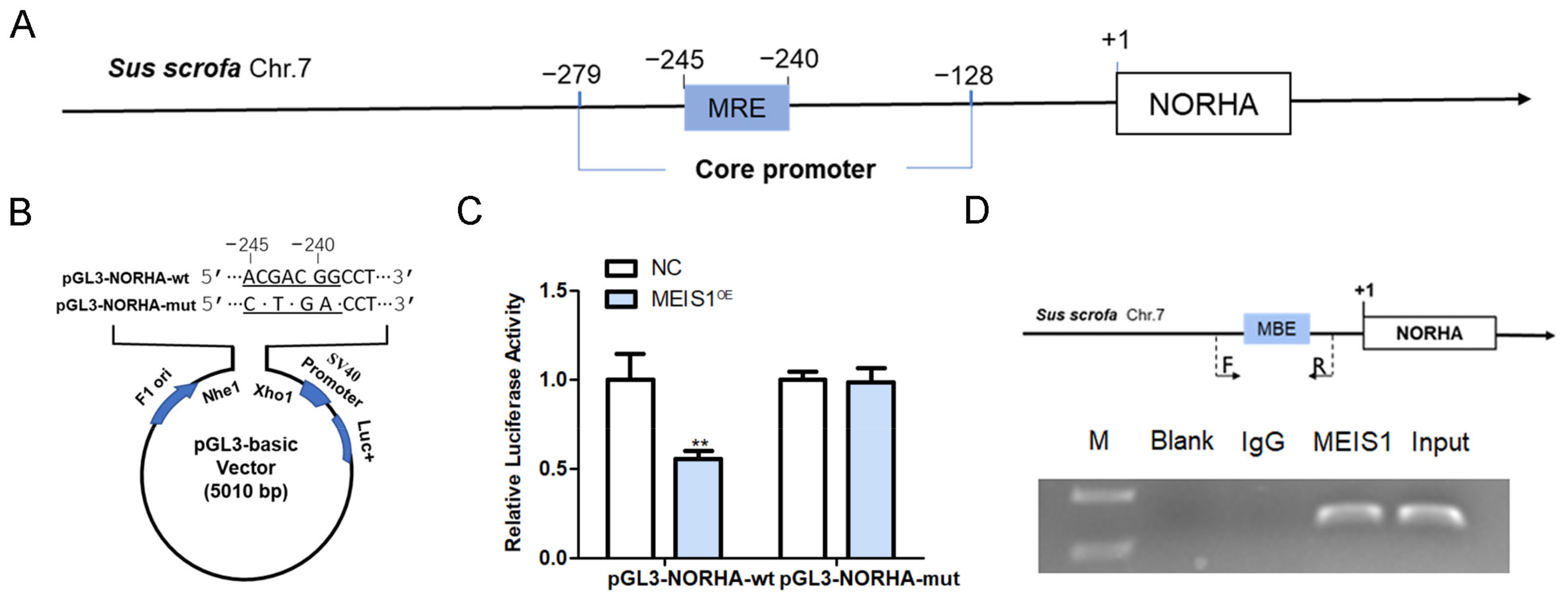 Ijms 24 03589 g005 Ijms 24 03589 g005