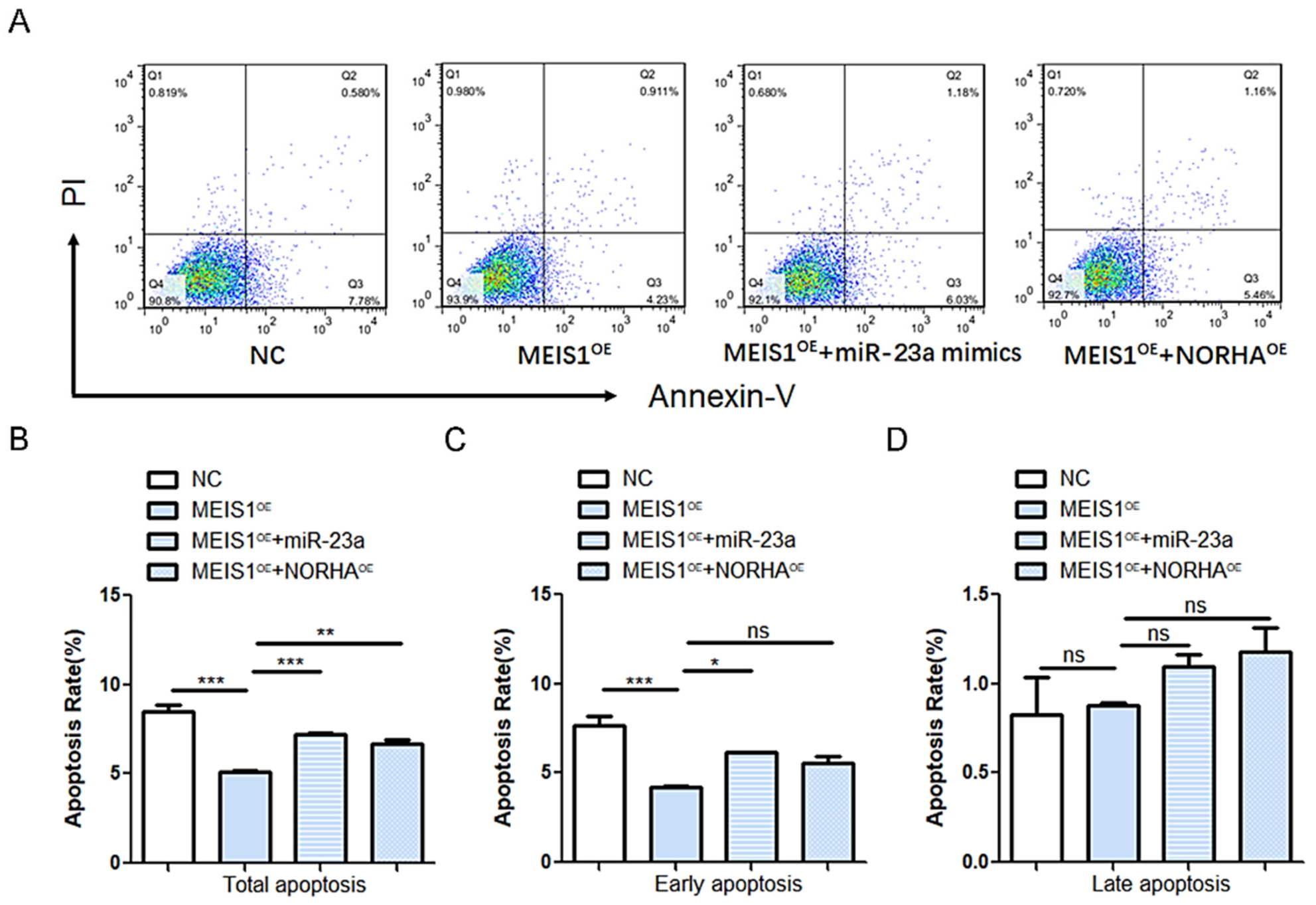 Ijms 24 03589 g007 Ijms 24 03589 g007