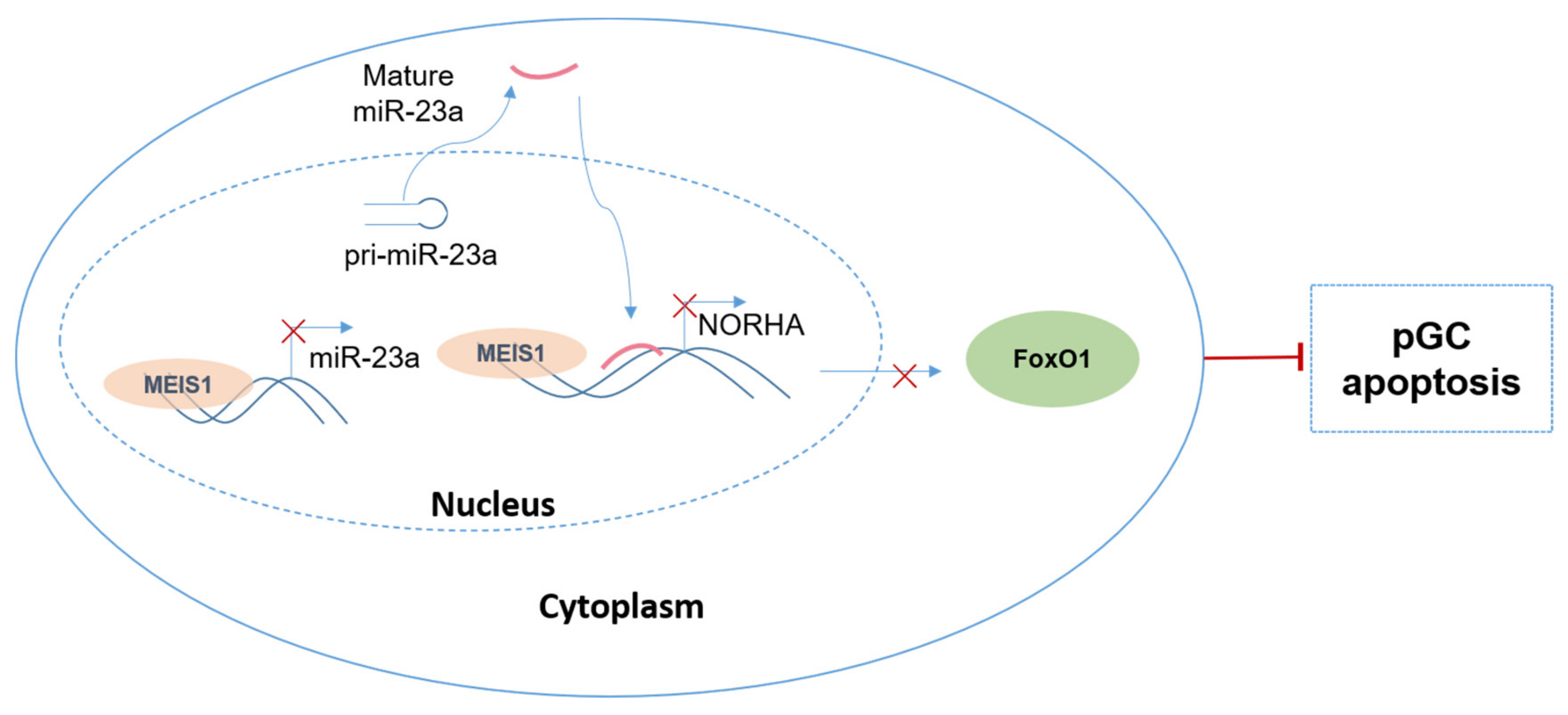 Ijms 24 03589 g008 Ijms 24 03589 g008