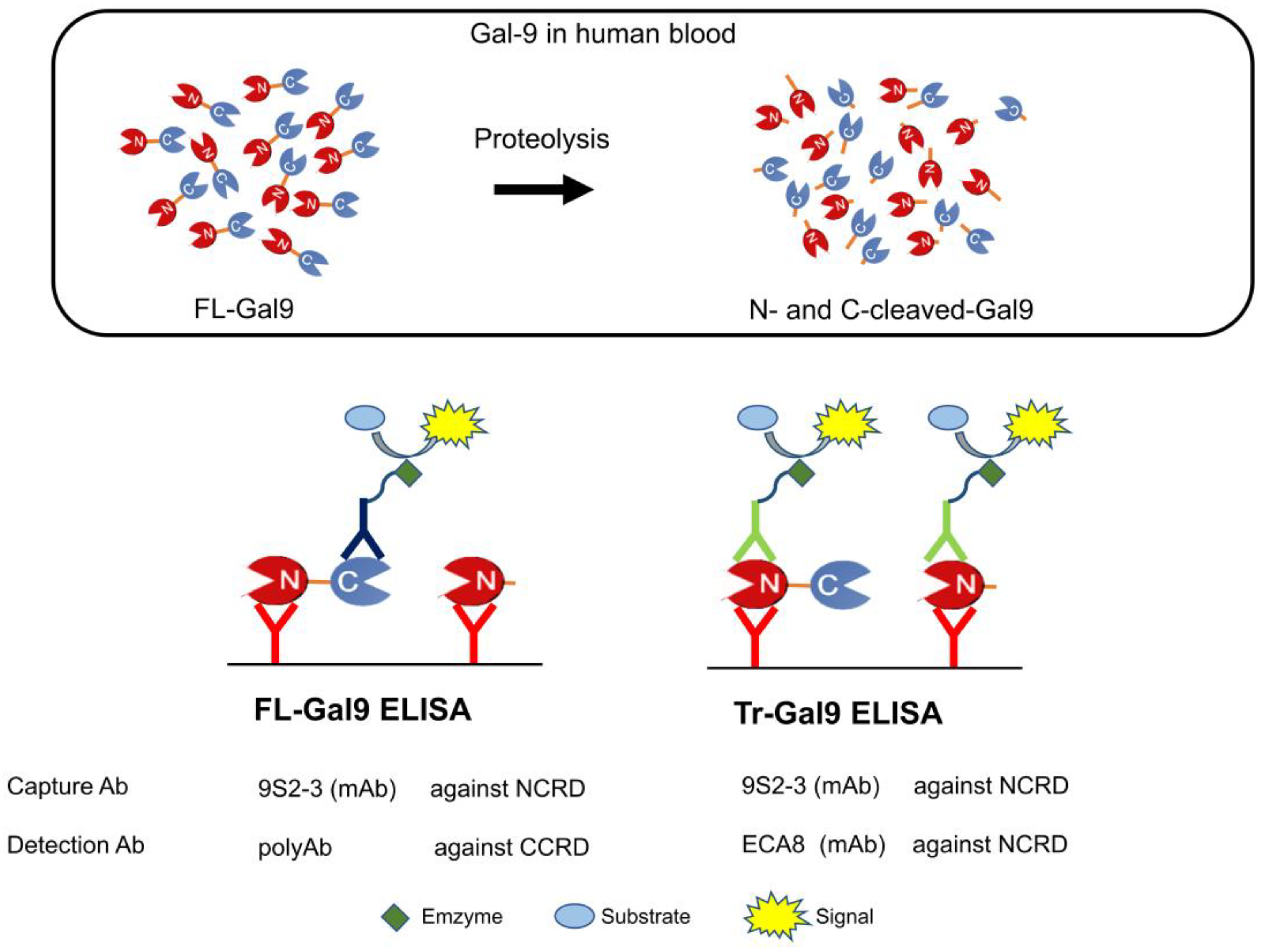 Ijms 24 03591 g001 550