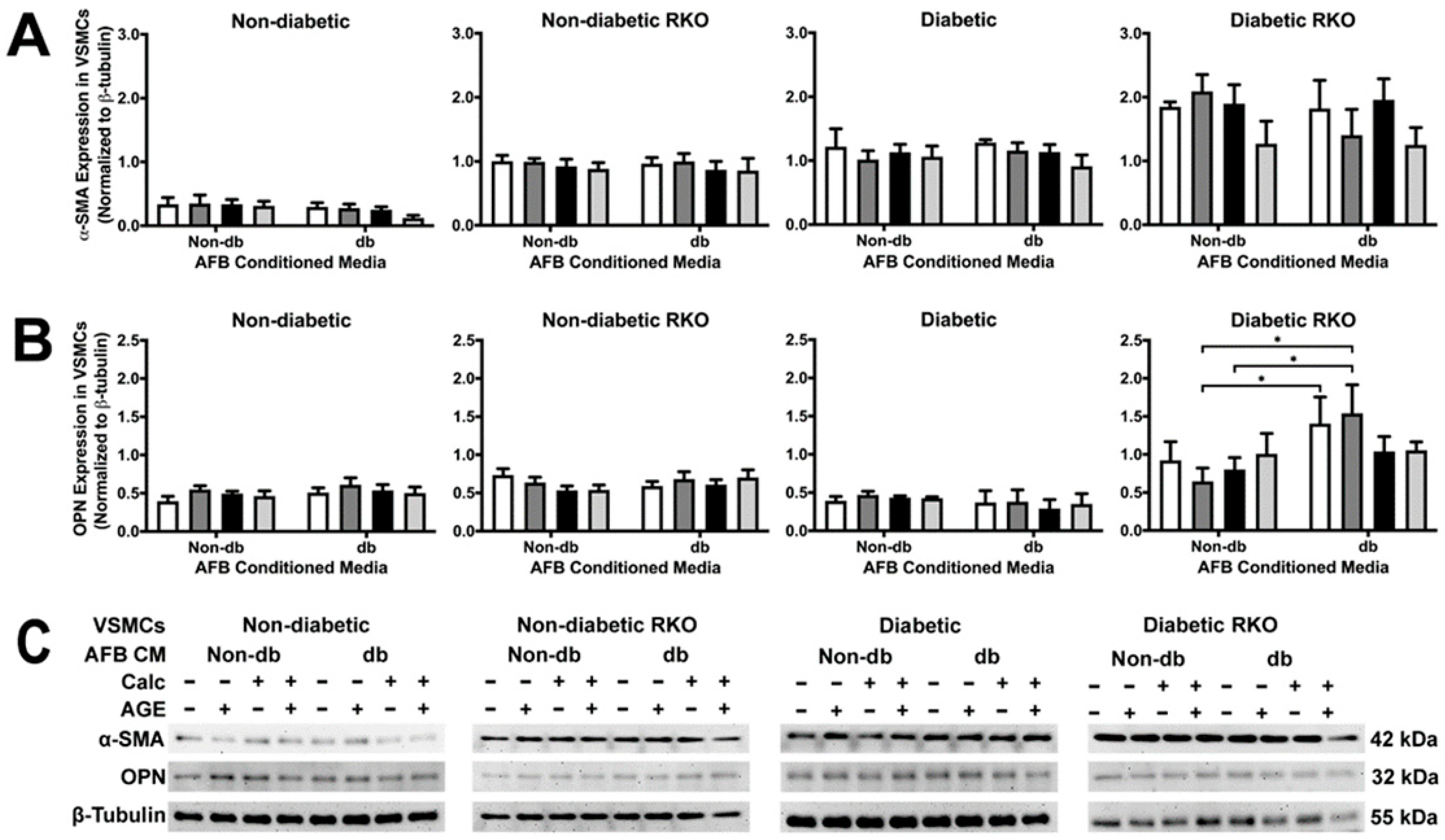 Ijms 24 03599 g002 Ijms 24 03599 g002