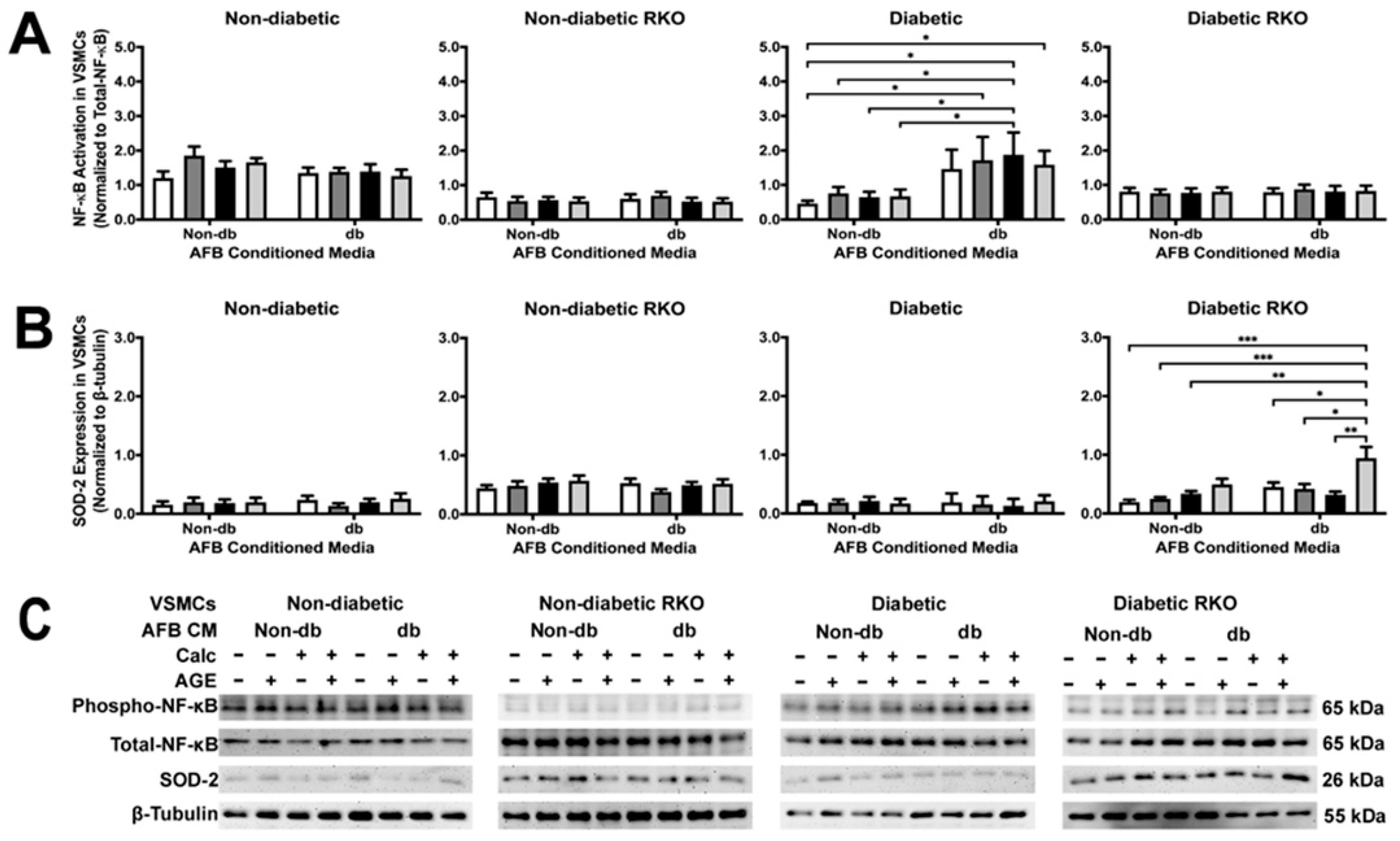 Ijms 24 03599 g004 Ijms 24 03599 g004