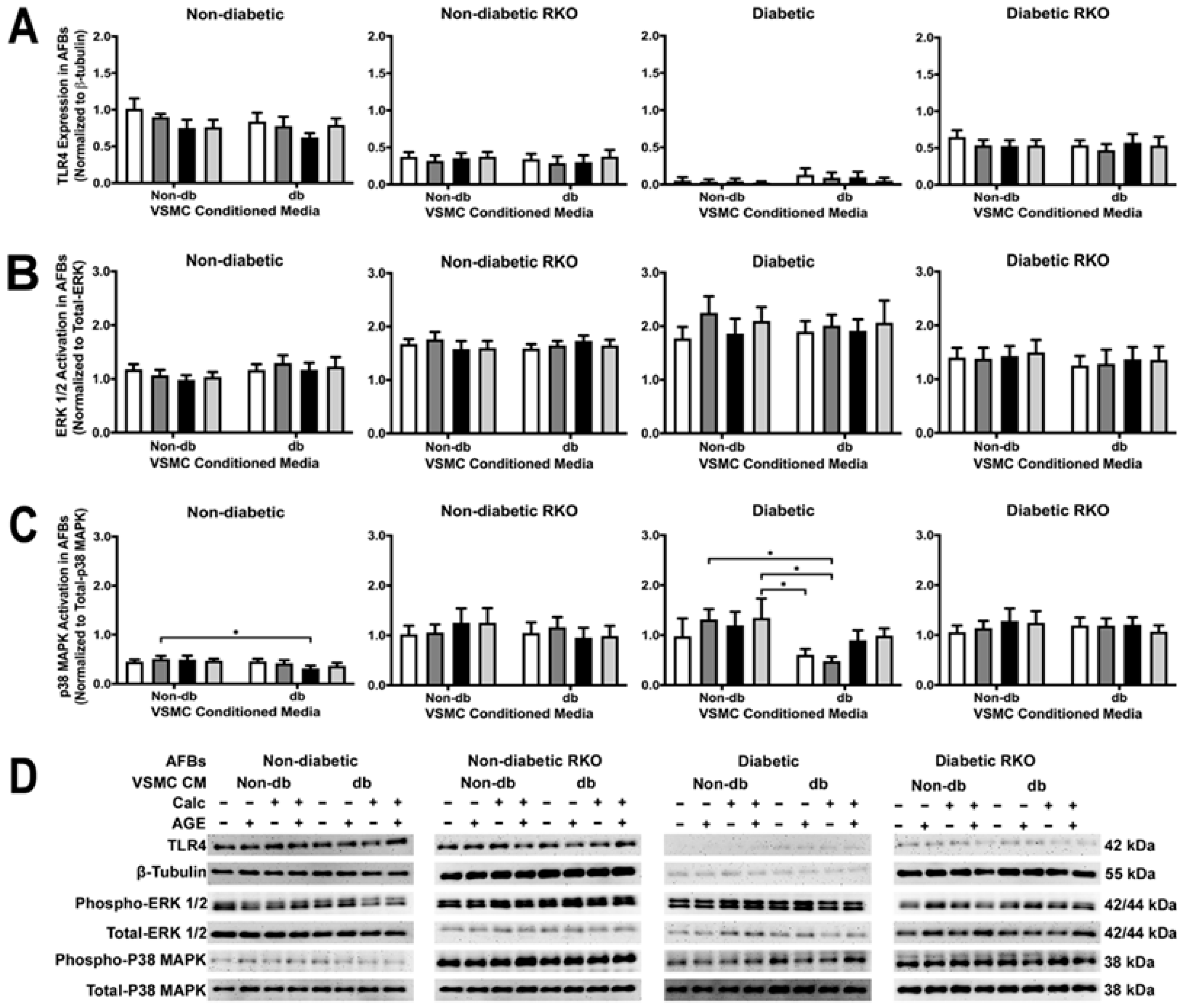 Ijms 24 03599 g008 Ijms 24 03599 g008