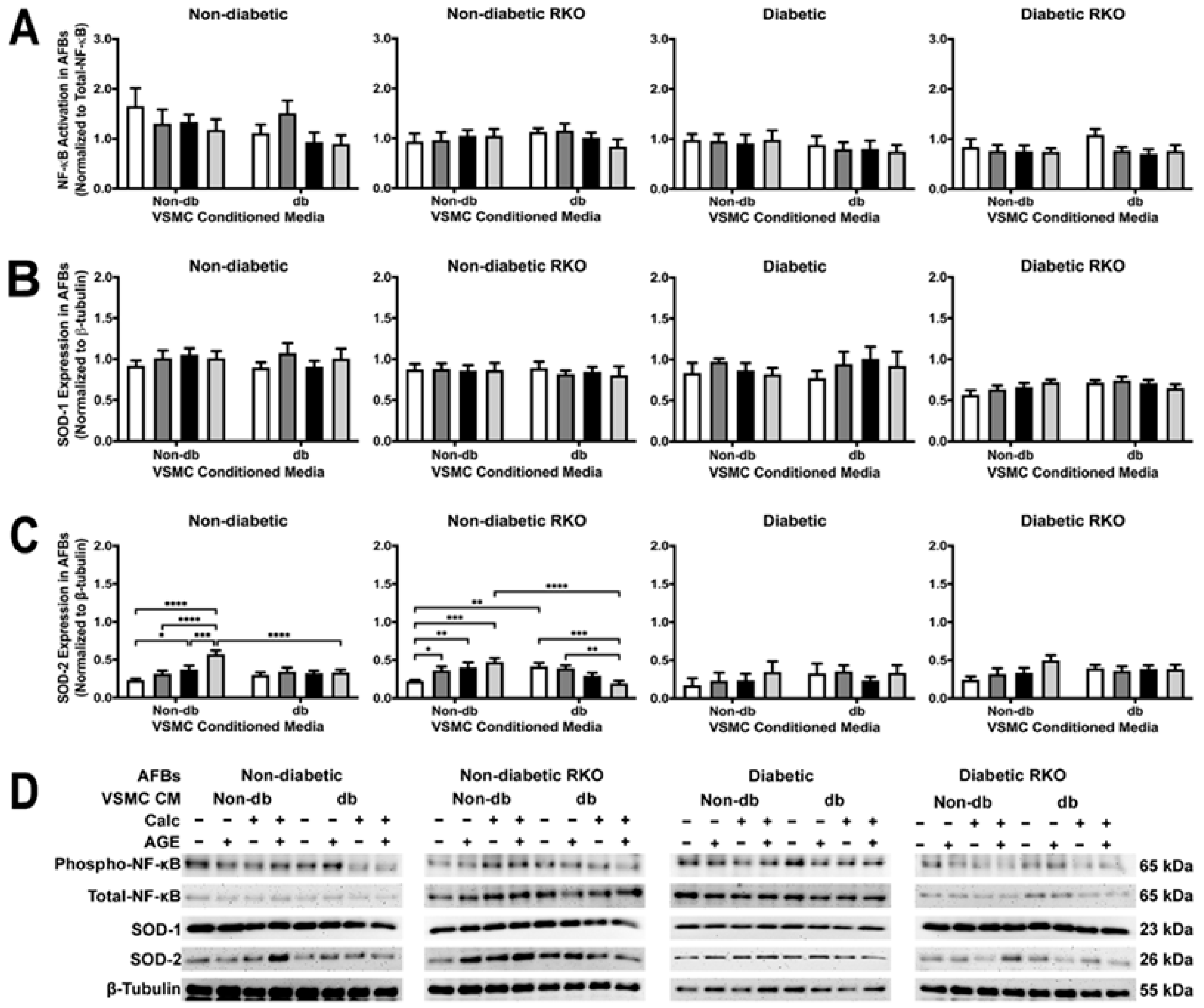 Ijms 24 03599 g009 Ijms 24 03599 g009