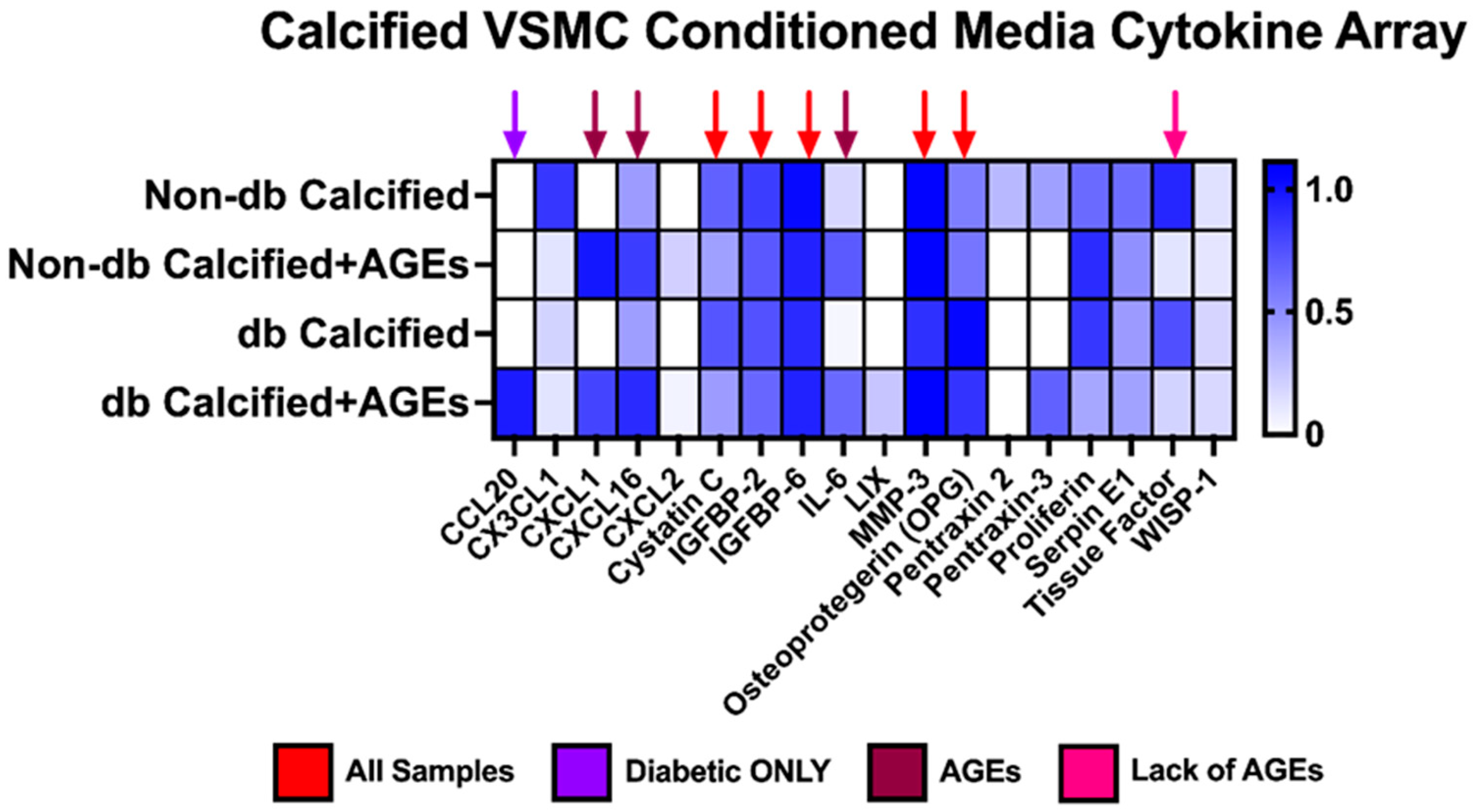 Ijms 24 03599 g010 Ijms 24 03599 g010