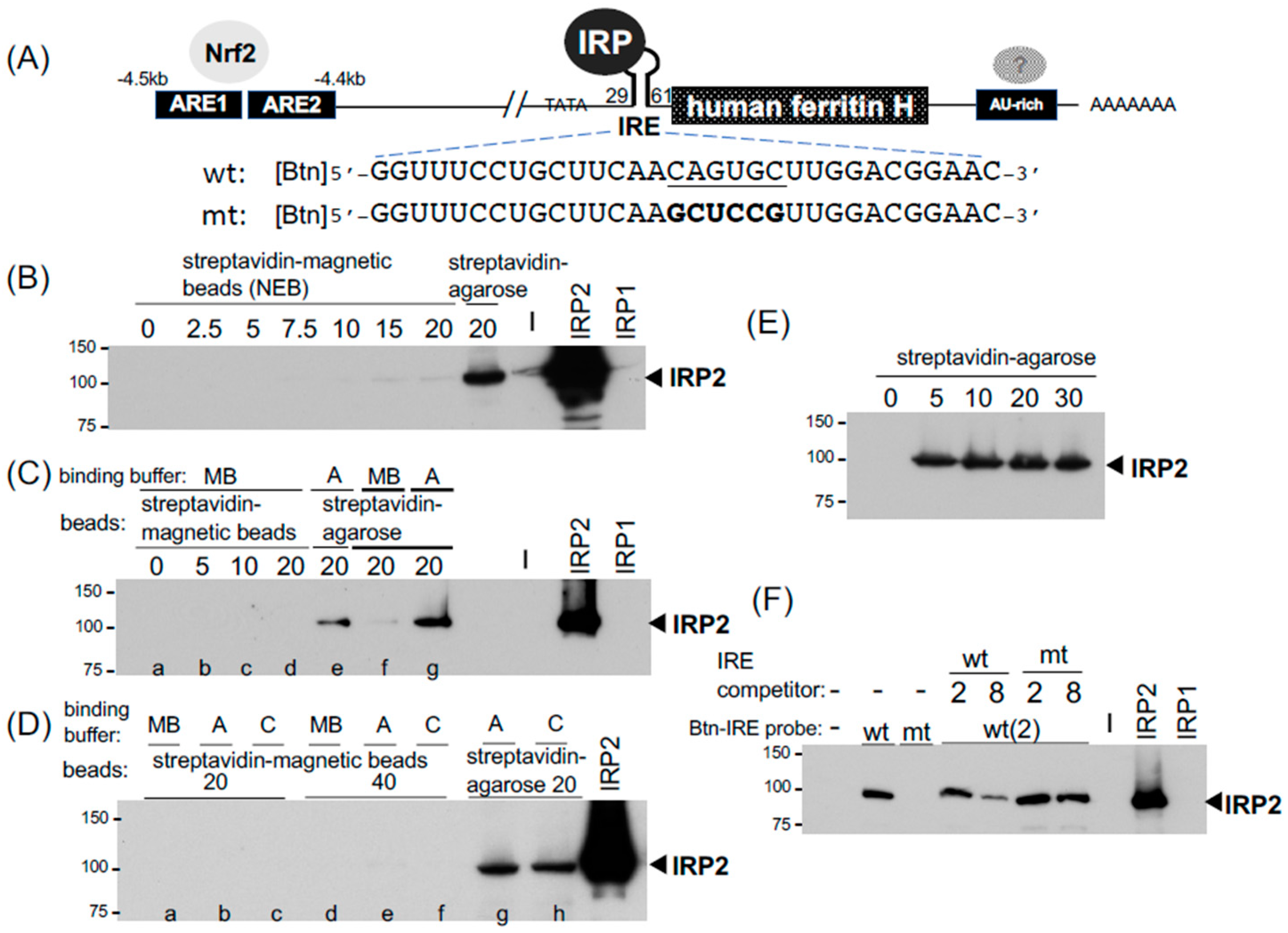 Ip 272 White Pill - uc2k9at