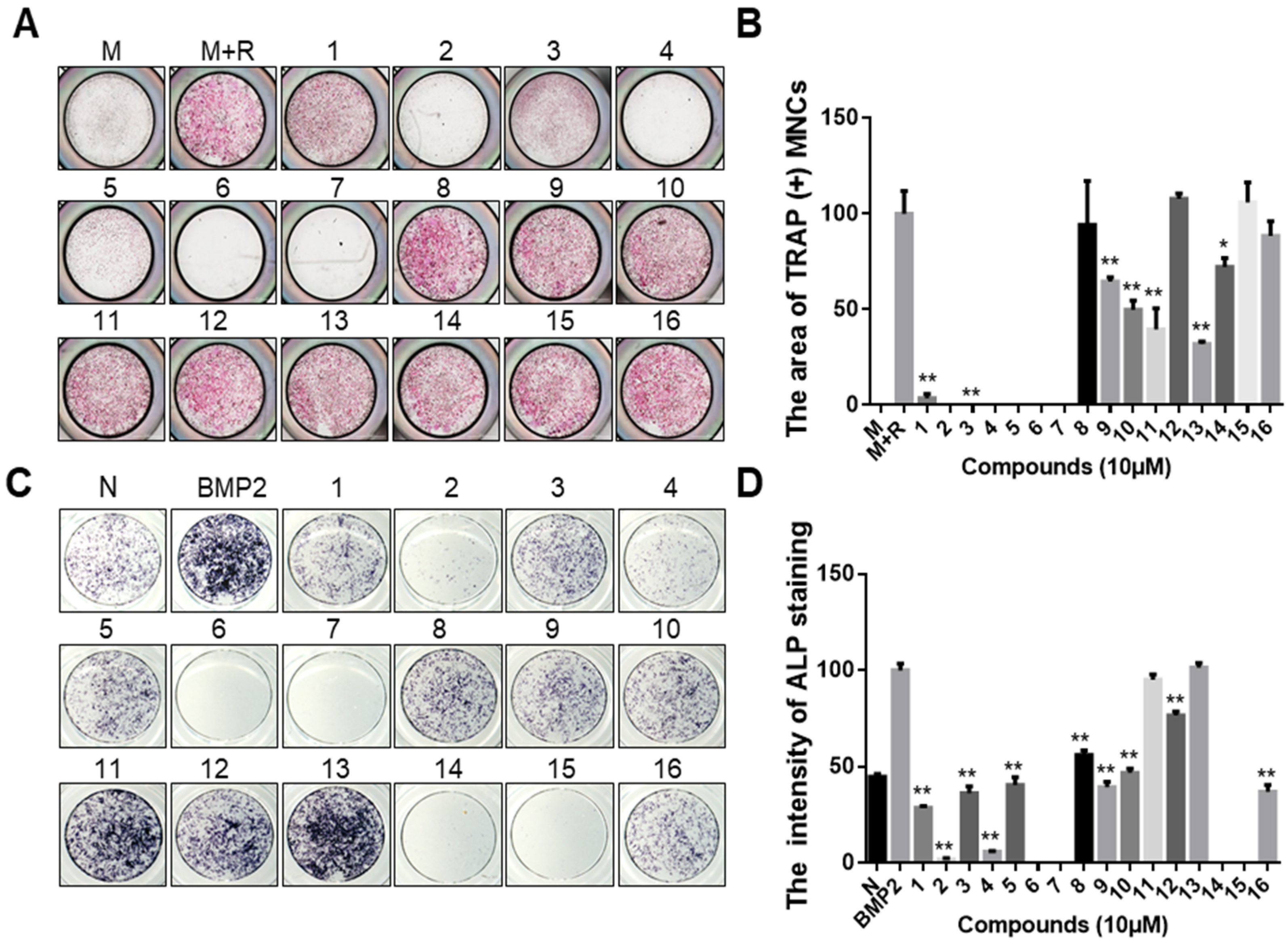 Ijms 24 03605 g001 550